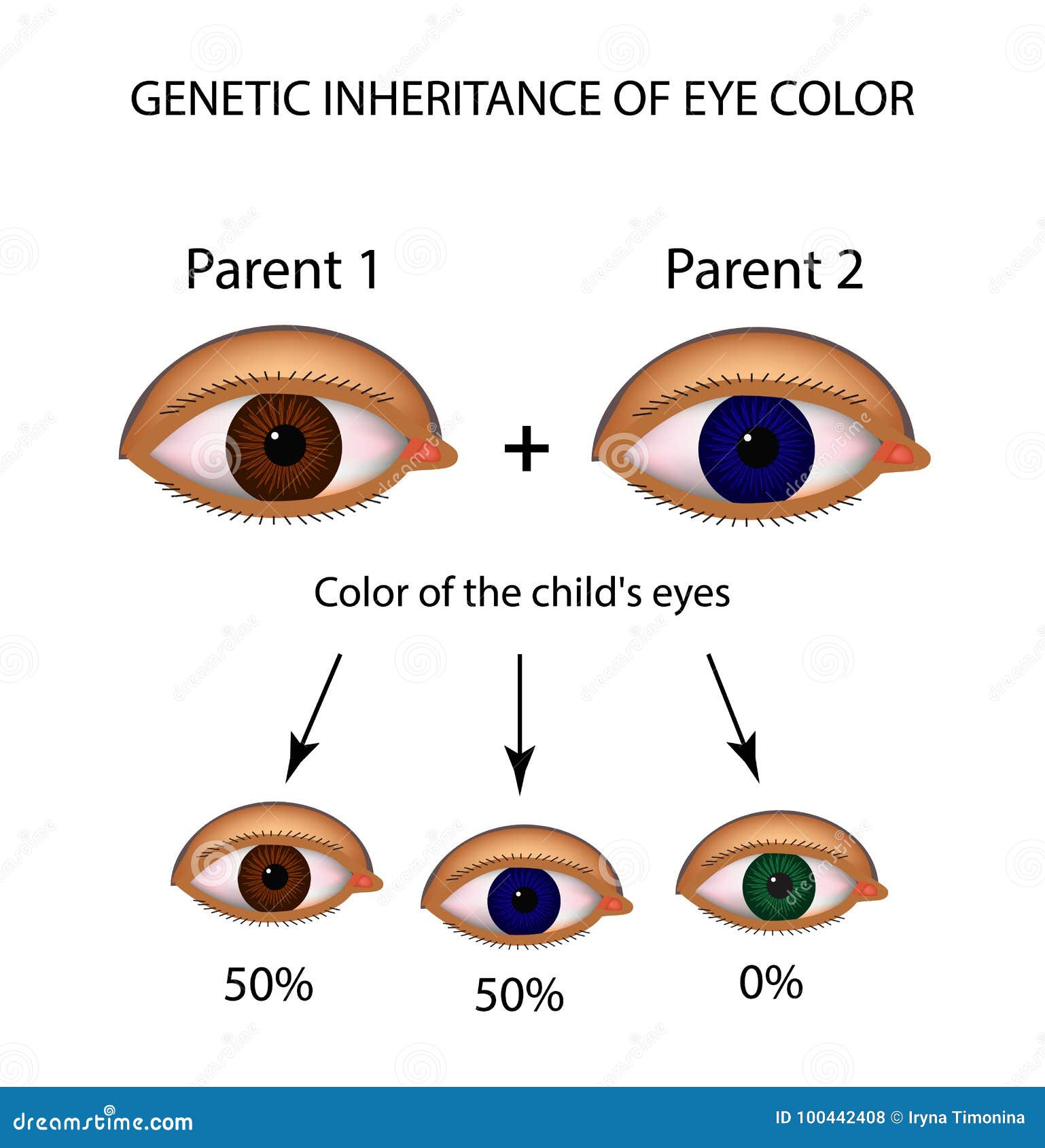 The Mystery of Blue Eyes in India: Unraveling a Genetic Enigma