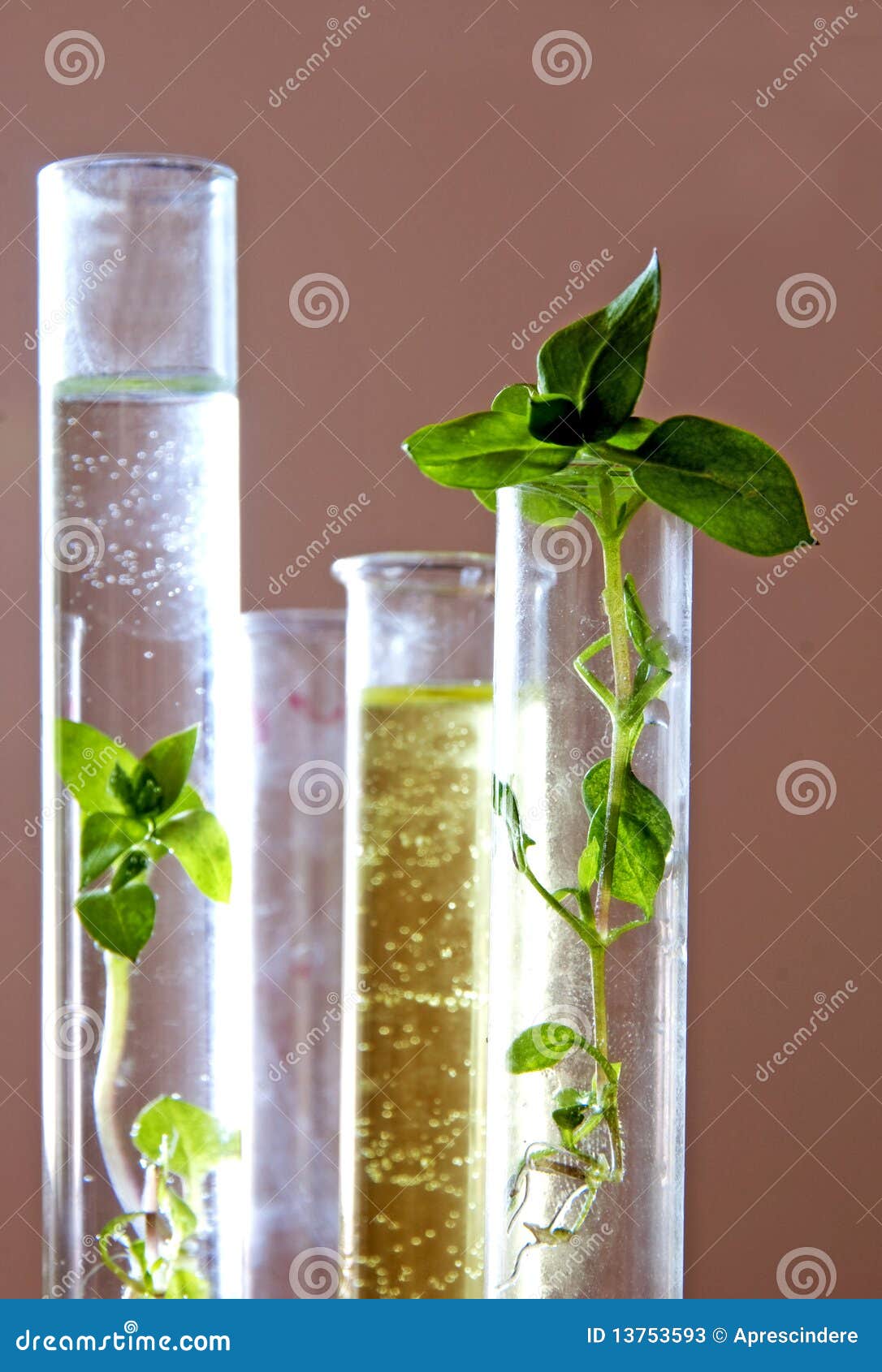 Genetics visual data 8