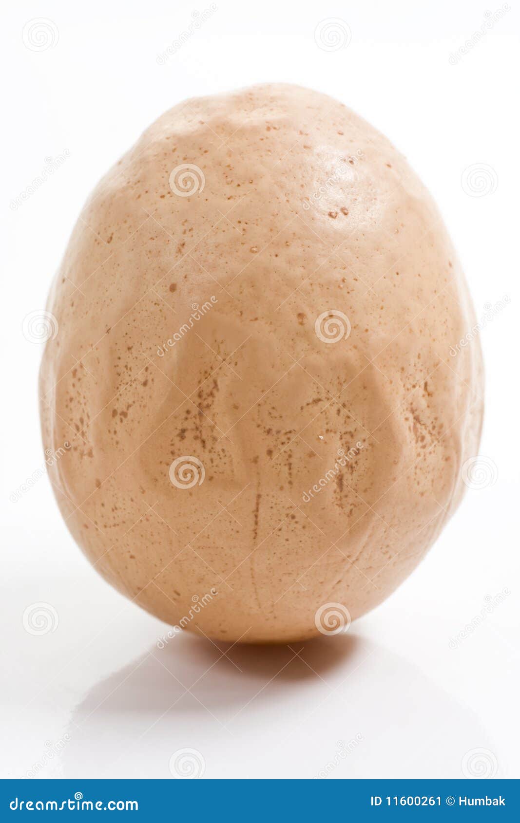 modificated egg stock image. Image of foodstuff 11600261