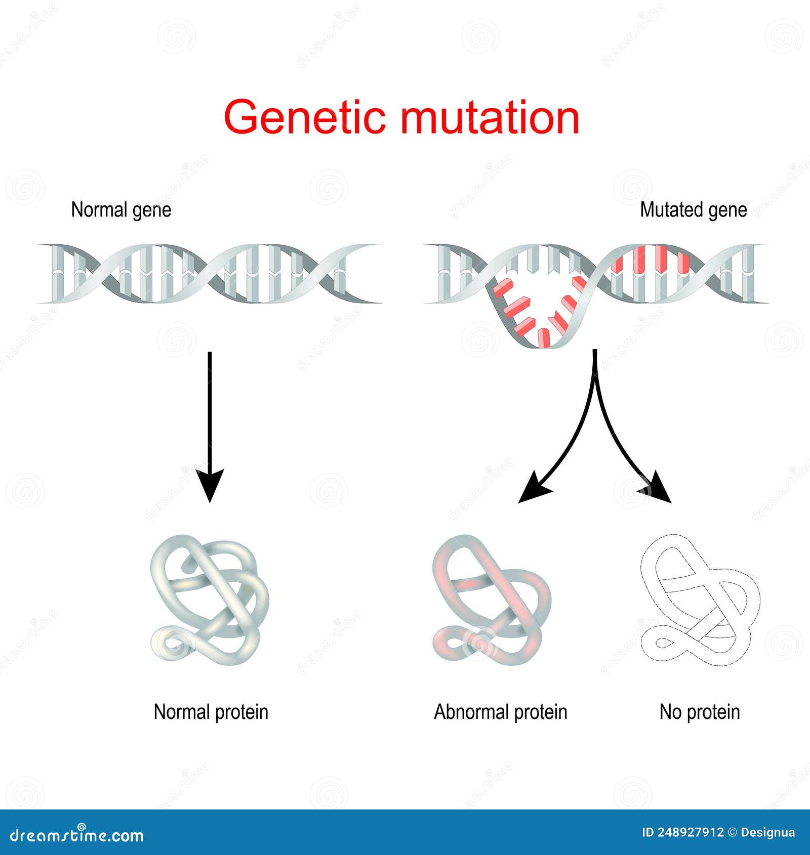 genetic mutation. normal gene and mutated dna