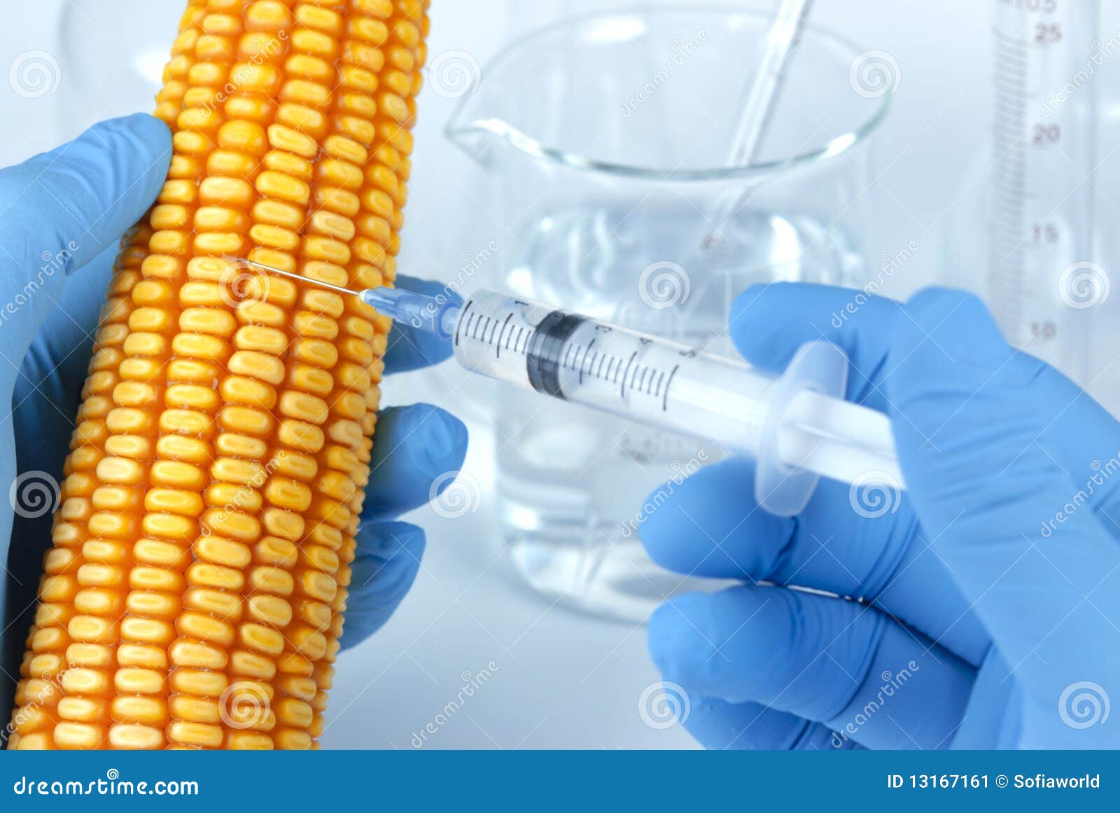 Genetically Modified Corn Stock Image Image Of Altered 13167161 healthy-smoky-barbecue-crunch-snack-graze
