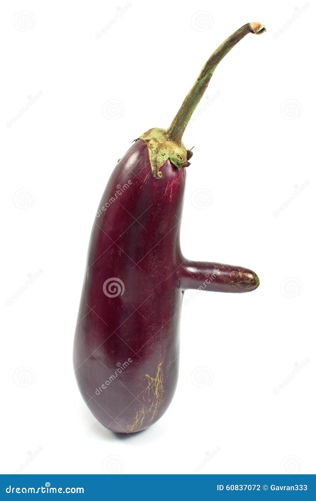 Modified Eggplant Vegetable Stock Photo Image of stem, pharmacology 60837072