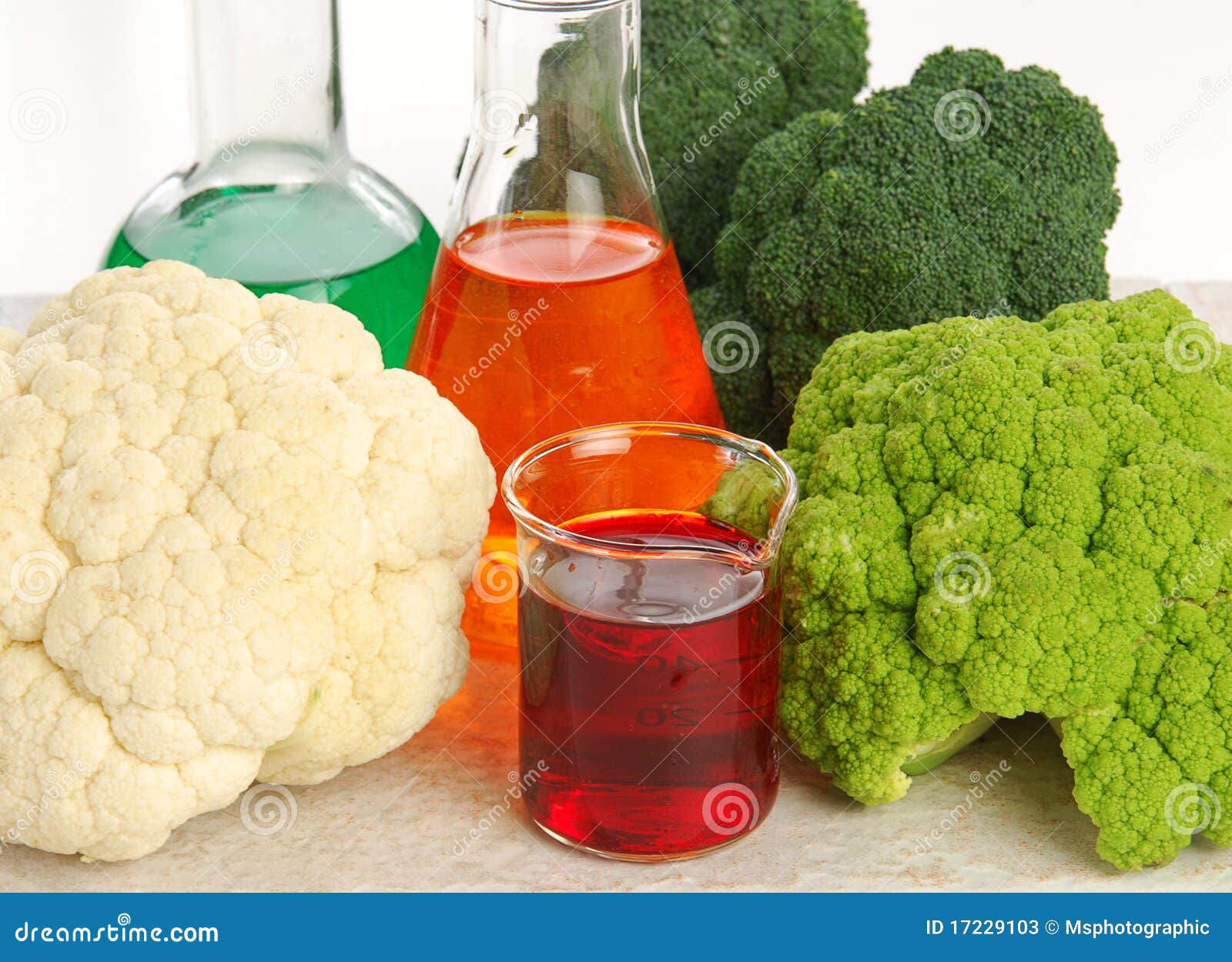 Genetically Modified Food Stock Image Image Of Broccoli 17229103 genetically-modified-food-stock-image-image-of-broccoli-17229103