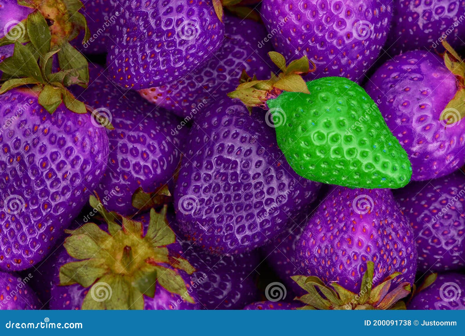 Modified Organisms Strawberries GMO Modified Food Stock