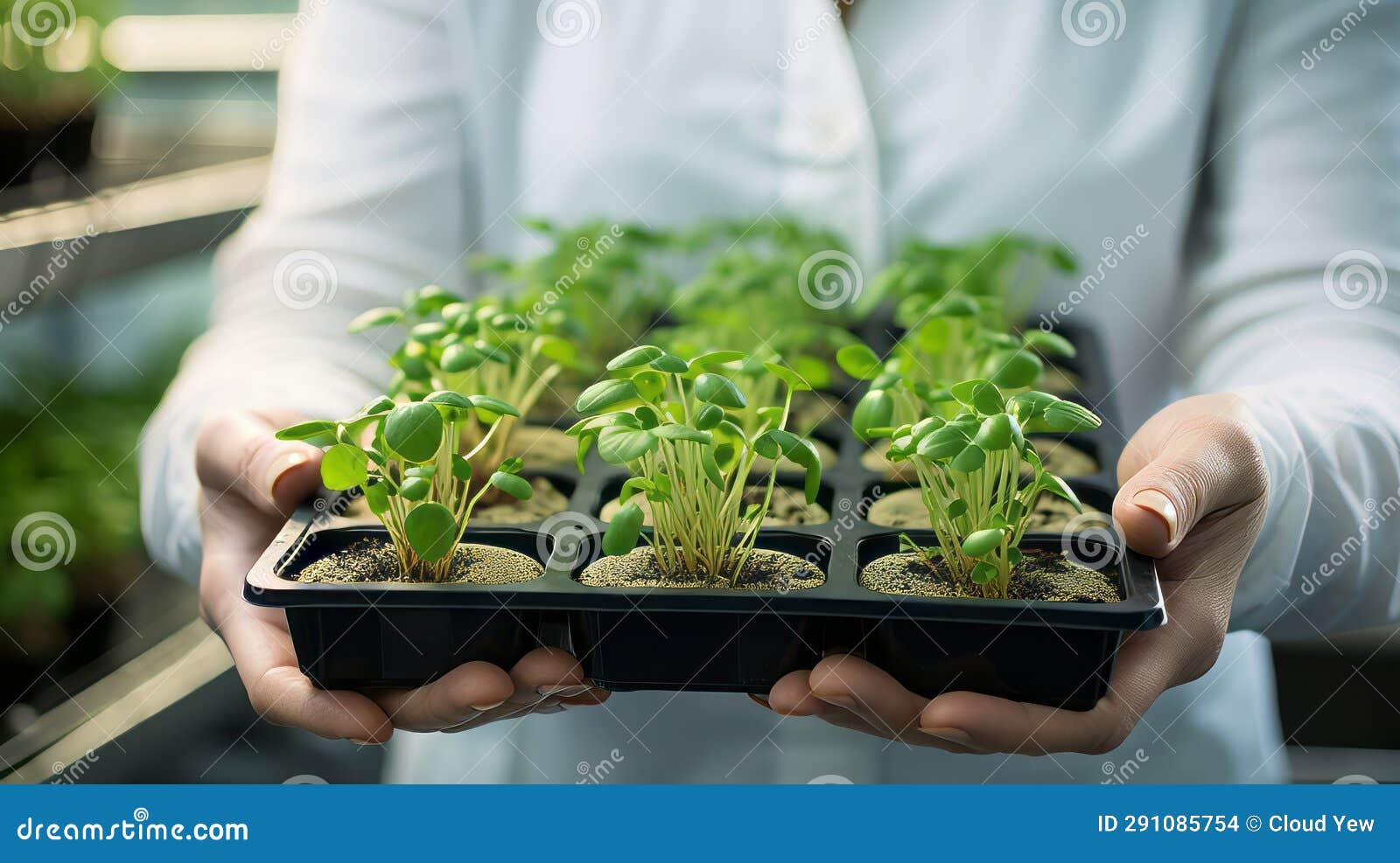 Holding Tray of Mutated Plant Samples Stock Illustration