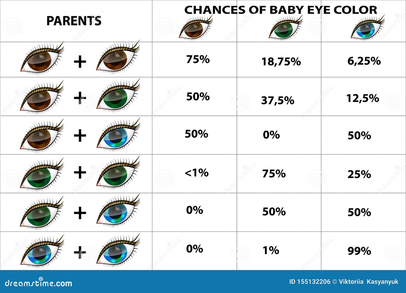 genetic inheritance of eye color brown blue green eyes infographics ...