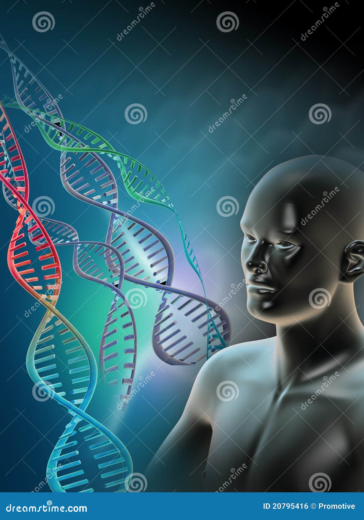 Del genoma al pangenoma, un nuevo logro de la ciencia: por qué es un paso  hacia “una medicina más justa” - Yahoo Noticias, image size:1186x1690