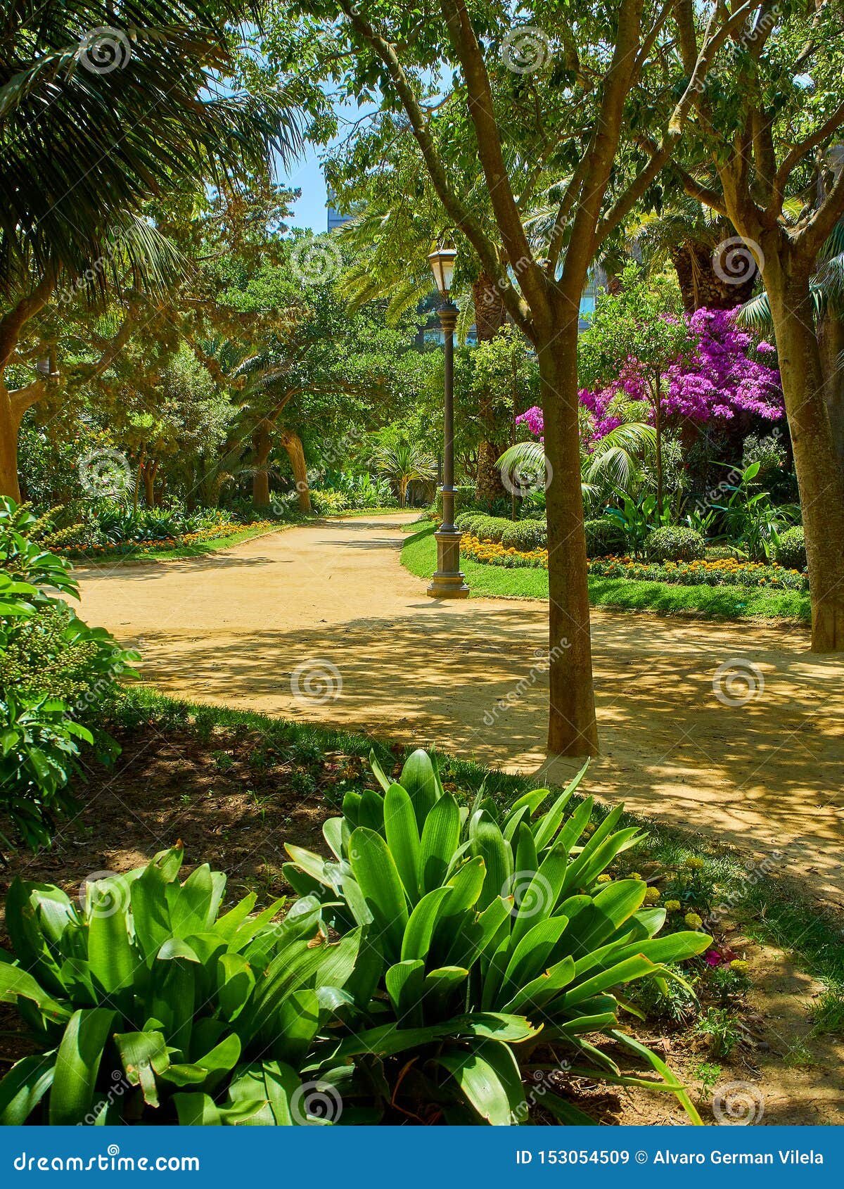 genoves park, botanical garden of cadiz, spain