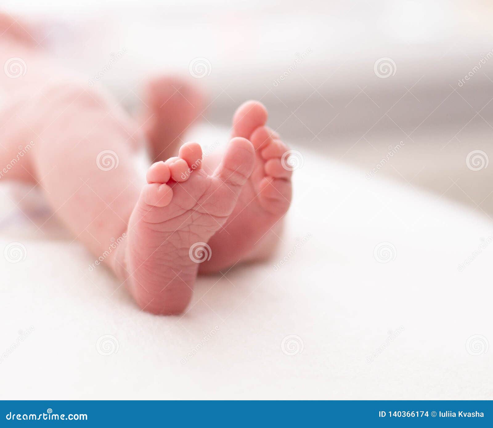 Legs Heels Newborn Baby Which Lies Incubator Delivery Room Maternity Stock  Photo by ©funfamilyfoto 563896234
