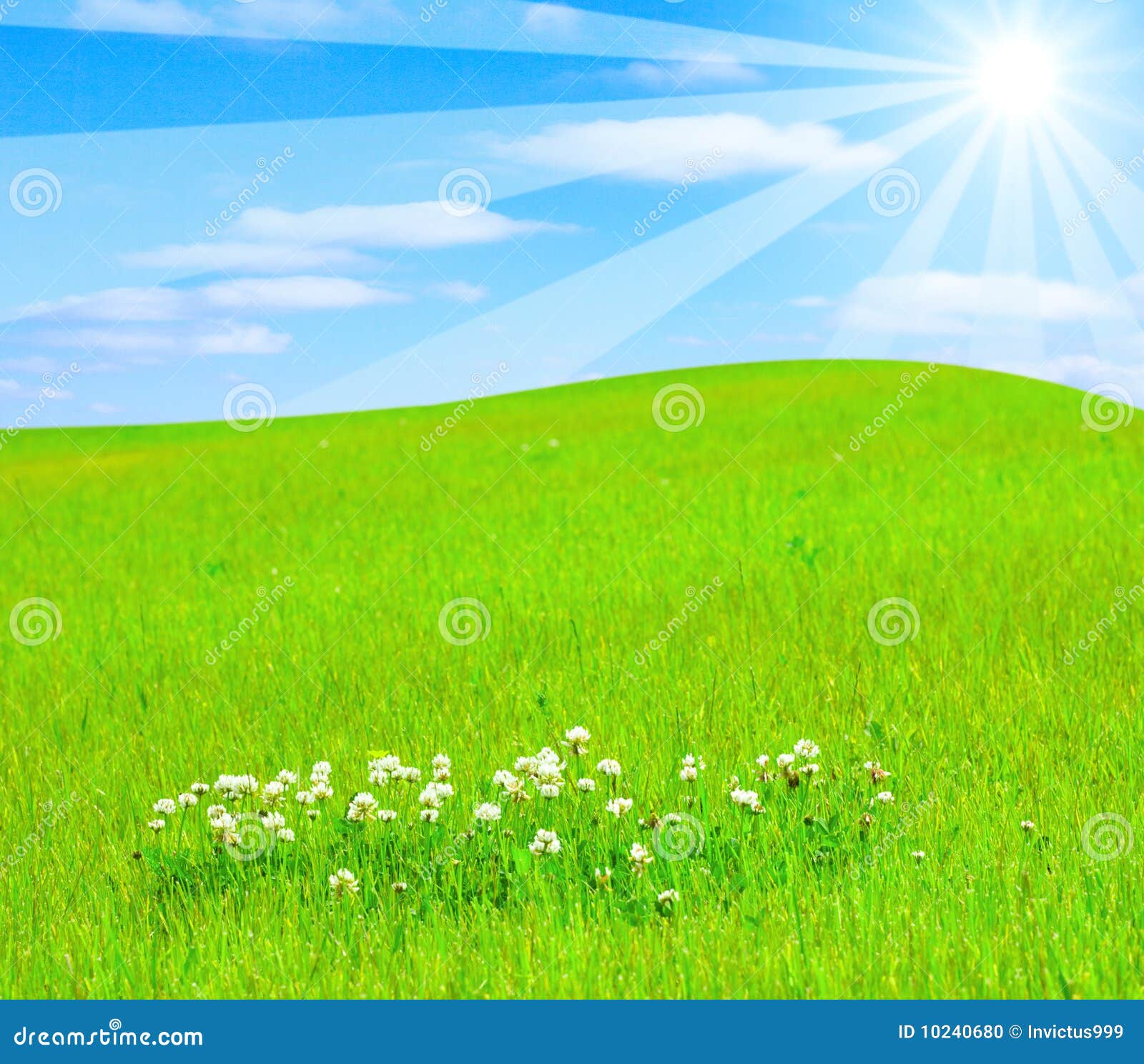Gentle hill stock illustration. Illustration of meadow 10240680