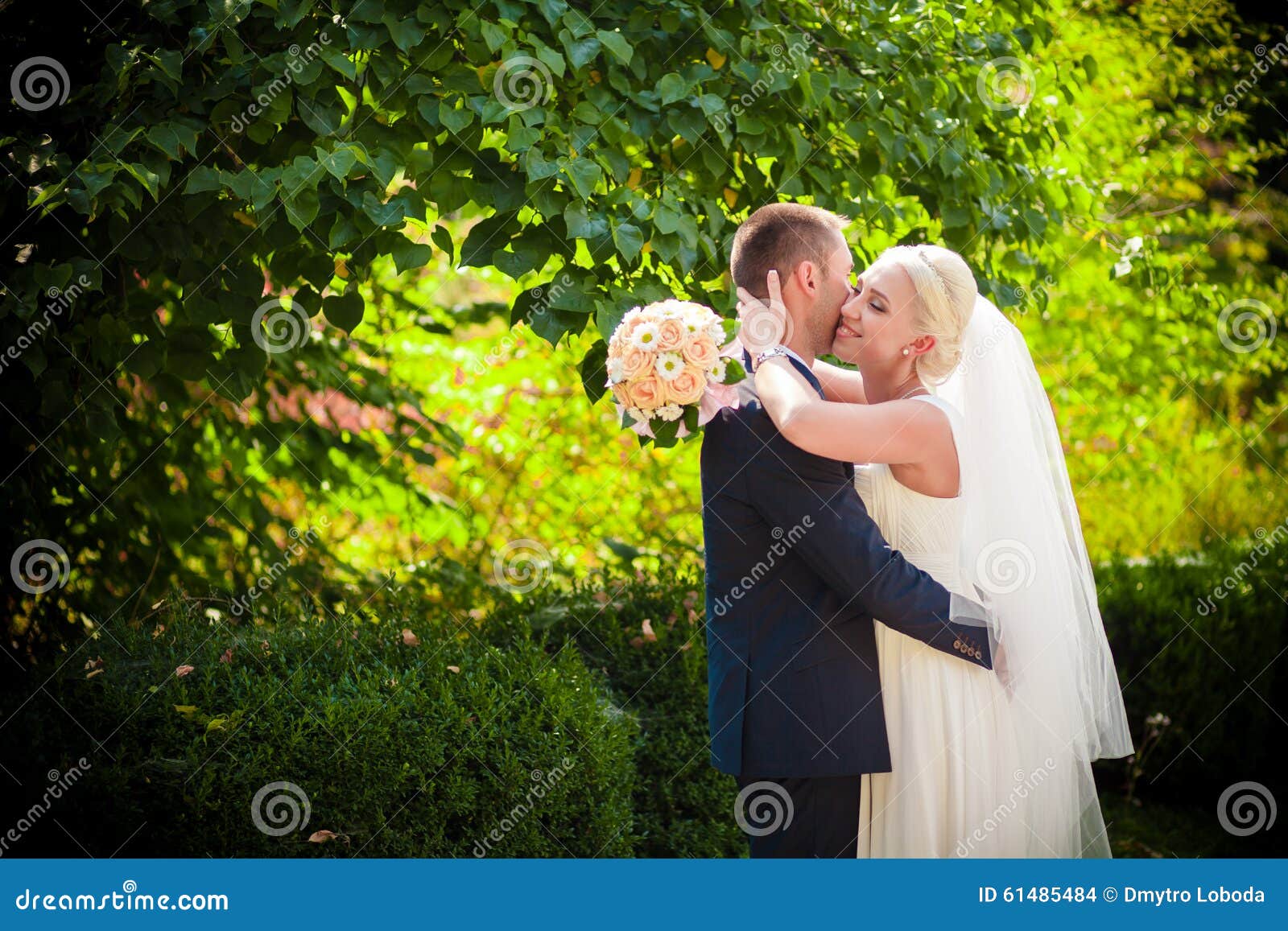 Gentle Kiss the Bride and Groom Stock Photo Image of dress, eyes