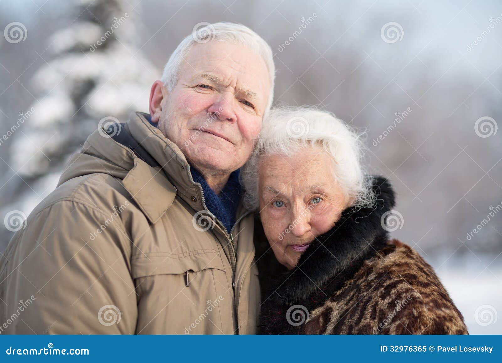 gentle portrait of an elderly couple