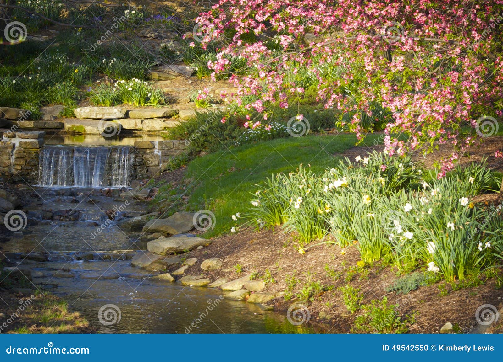 a gentle waterfall going into a stream with pink spring flowers.