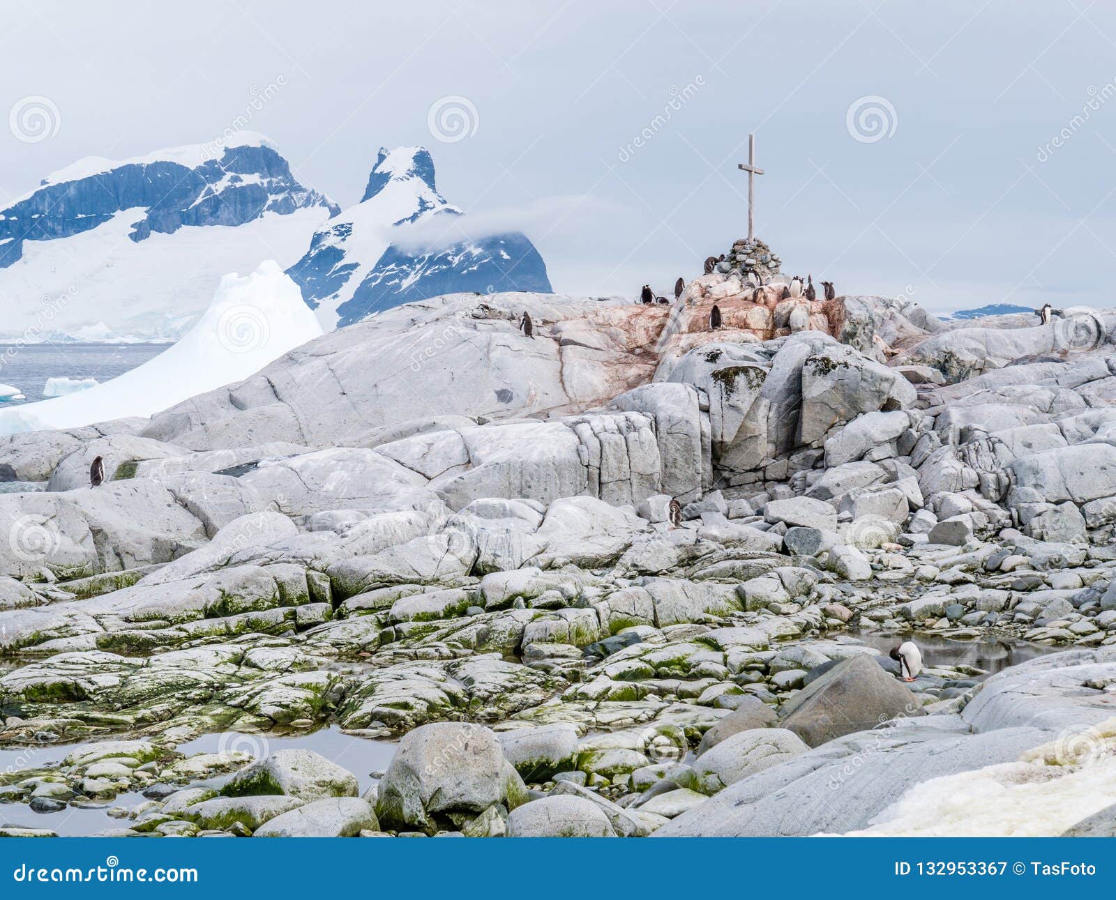 gentoo penguins and commemoration cross for british antarctic survey, petermann island, antarctic peninsula, antarctica