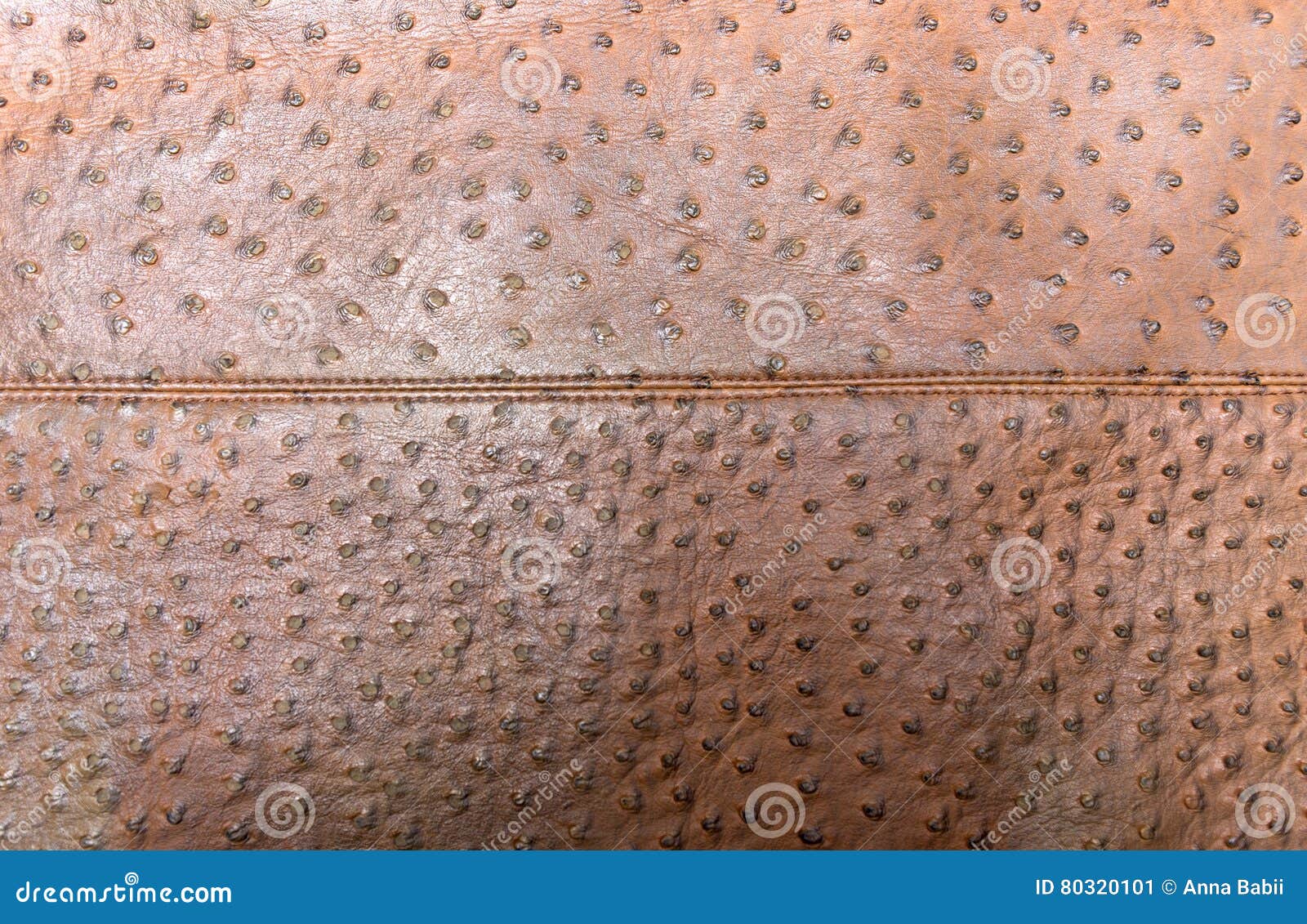 Genuine Leather Textured of Ostrich Skin Stock Image Image of leather, natural 80320101