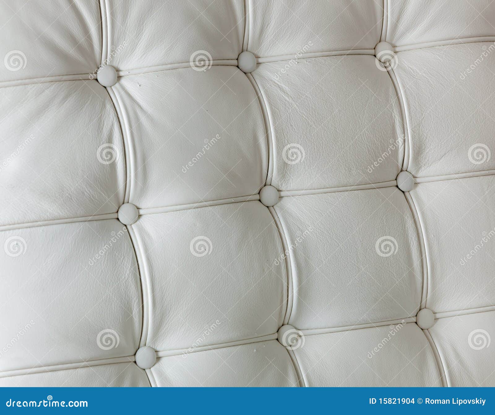Genuine leather upholstery stock photo. Image of ornate 15821904