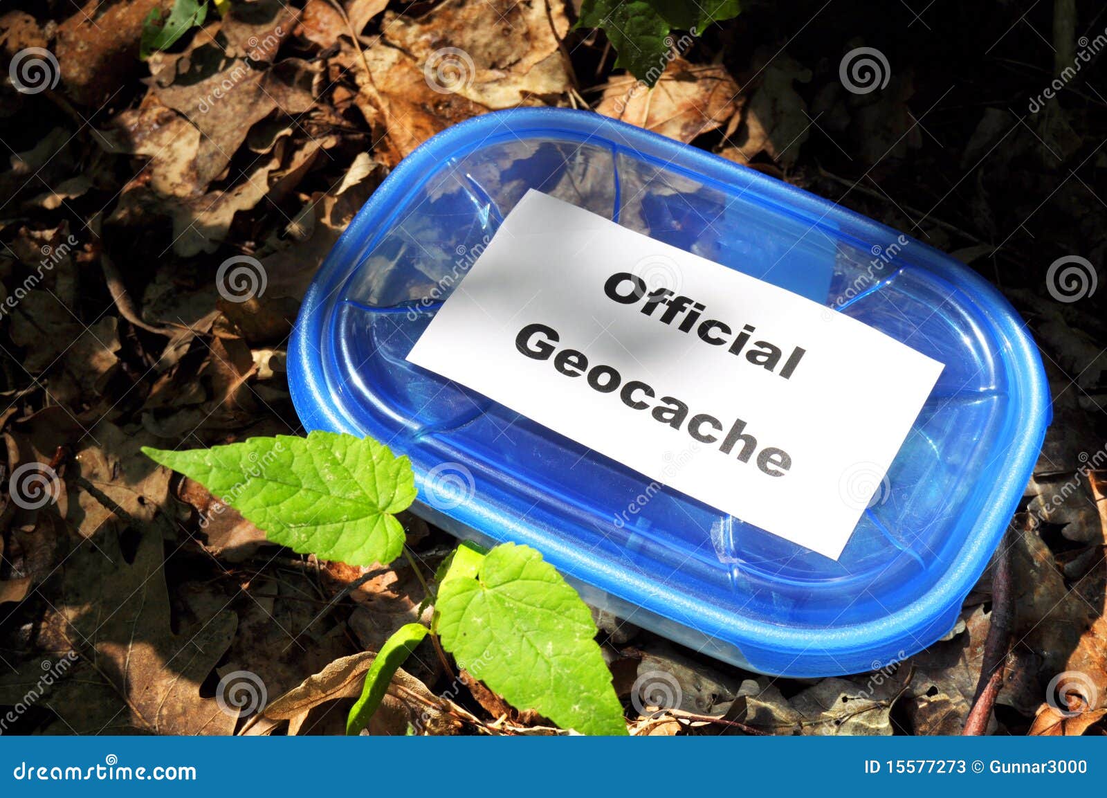 Geocache stock image. Image of hunt, cache, blue, search 15577273