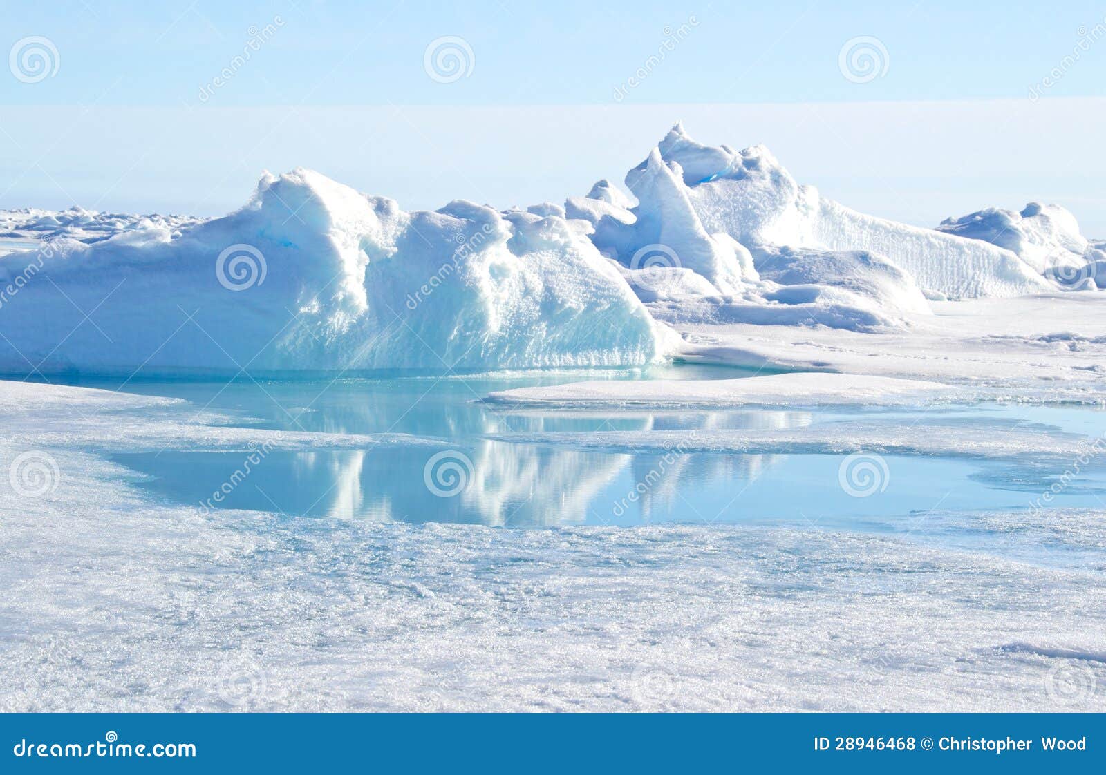 geographic north pole