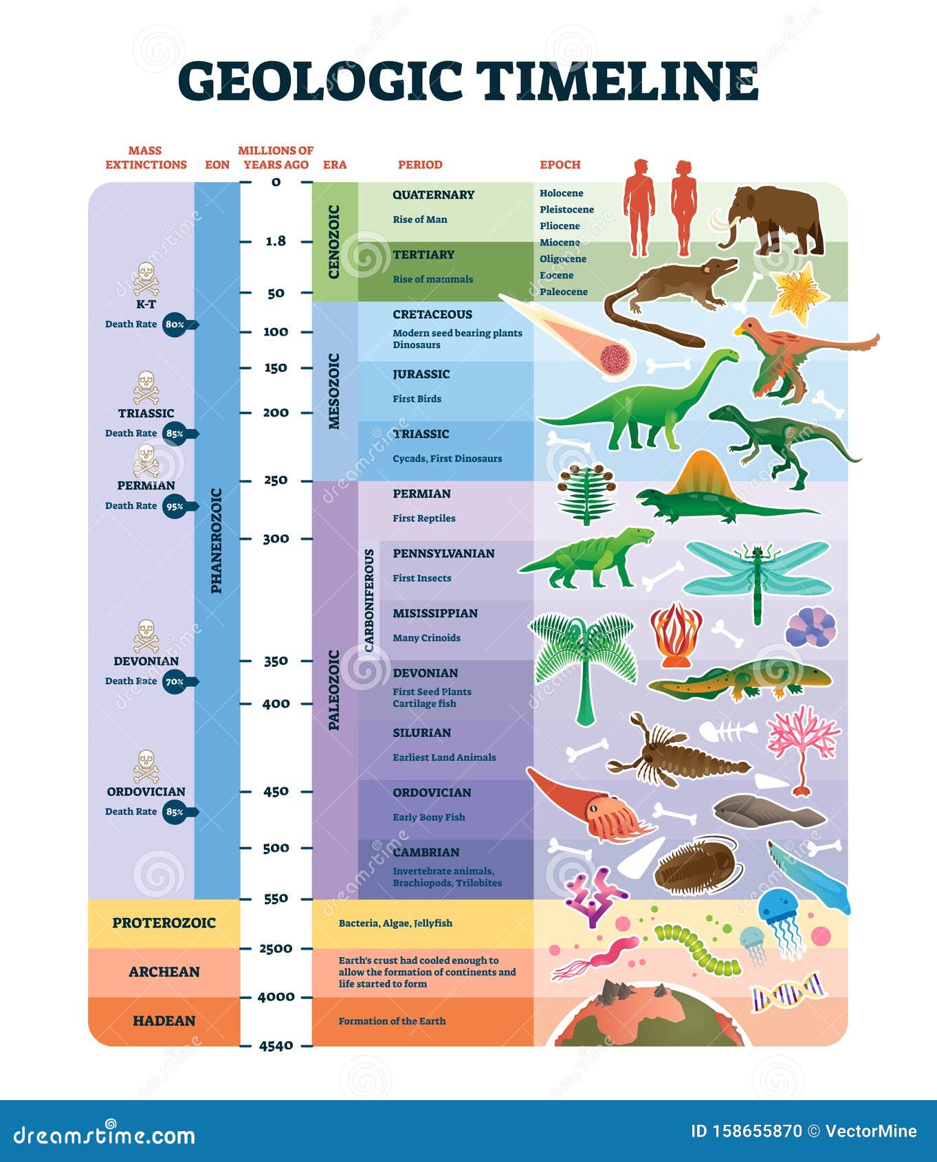geologic timeline scale  . labeled earth history scheme.