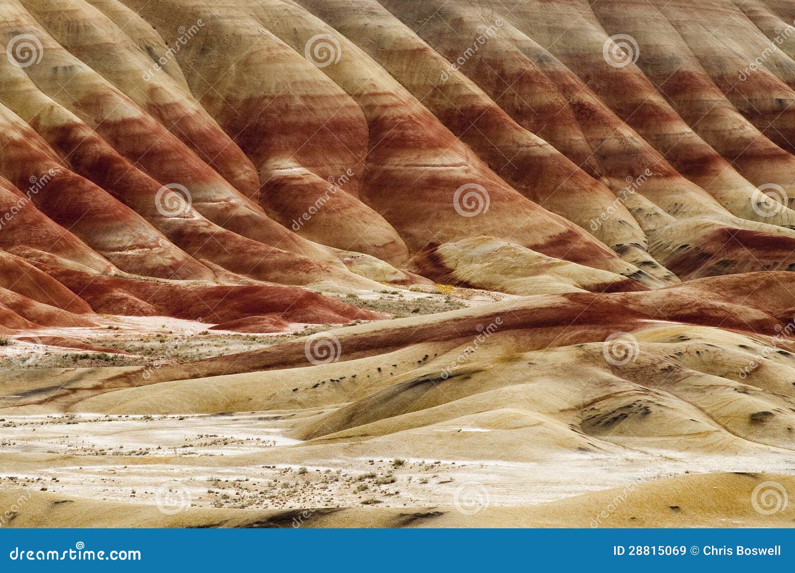 the geology in painted hills oregon state