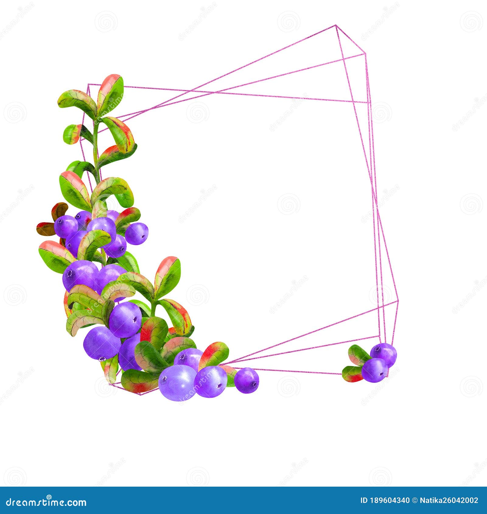 a geometric frame with ripe irgi berries on a white background is . graphic . watercolor 