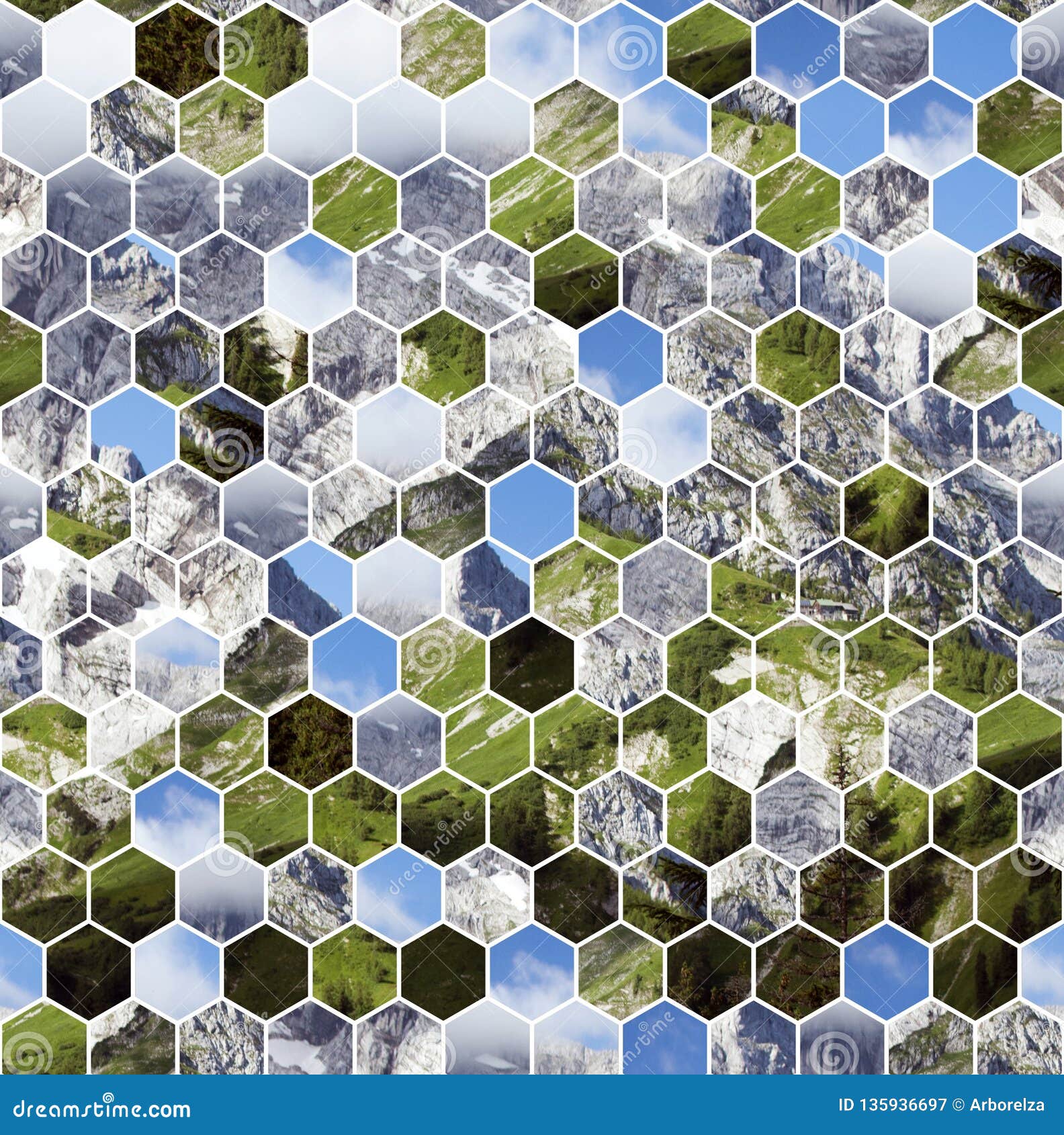 Geometric Patterns In Nature
