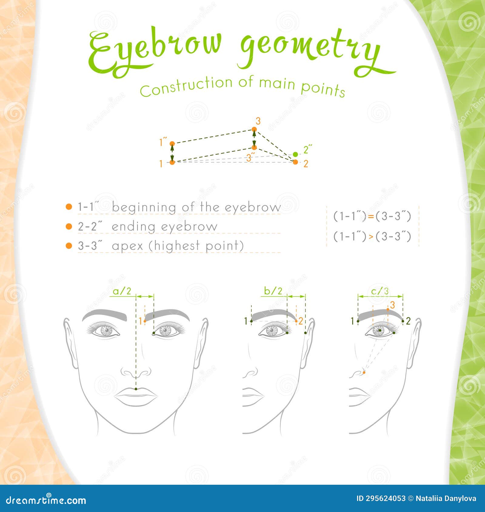 The Geometry of the Eyebrows is Basic Stock Illustration Illustration