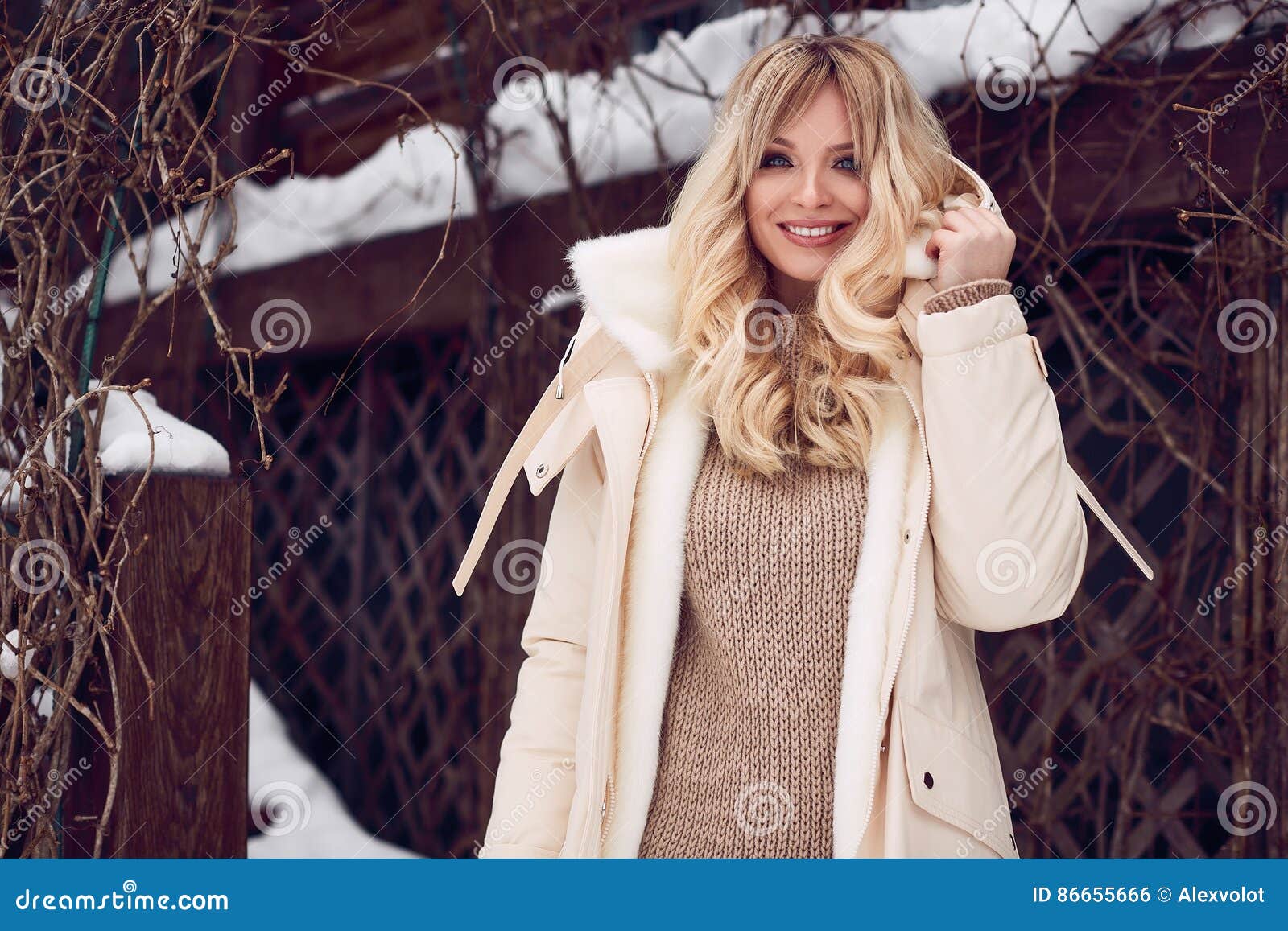 Georgeous Elegant Blonde in Bright Winter Dress Stock Photo - Image of ...