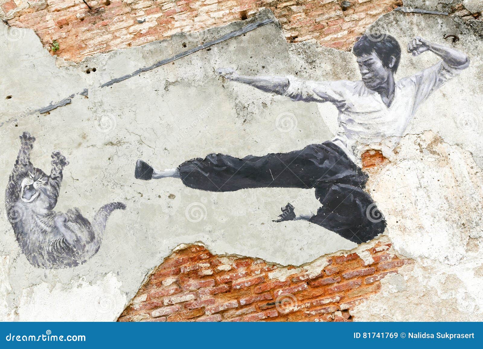 Georgetown Penang Malaysia Street Art Mural Bruce Lee Editorial Stock Image  - Image of destinations, south: 81741769