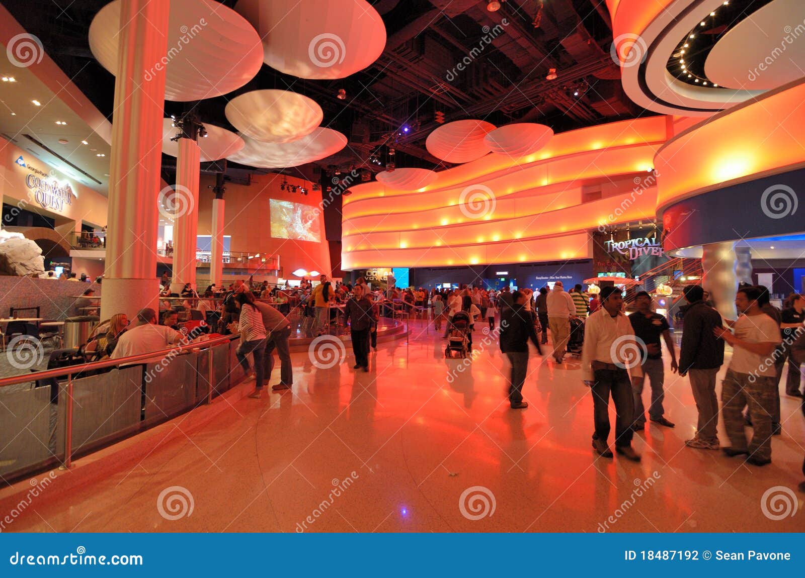 Aquarium Food Court Editorial Photography Image of food