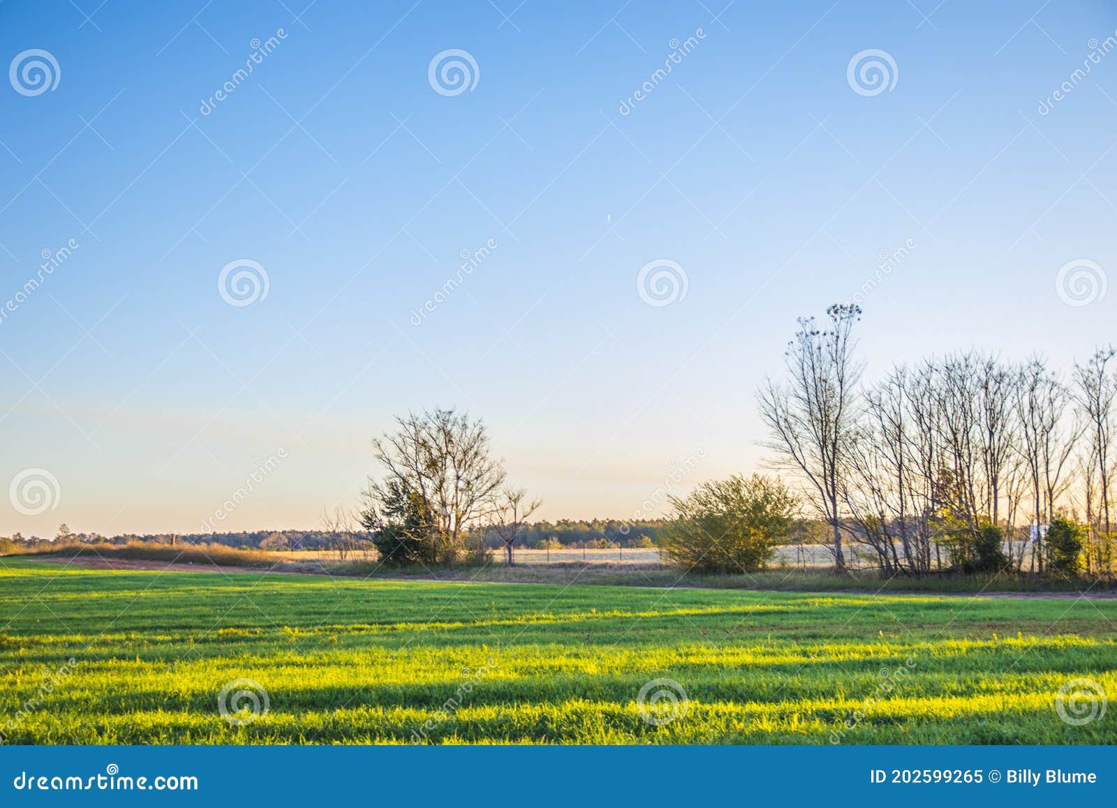 Farm Land in the South Stock Image Image of green, cloudy