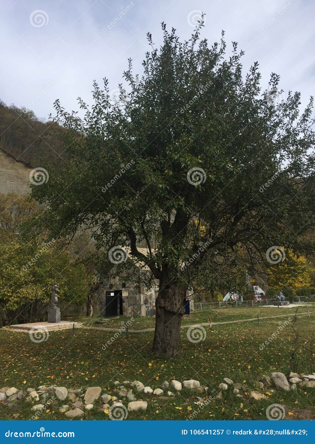 georgian church and the tree