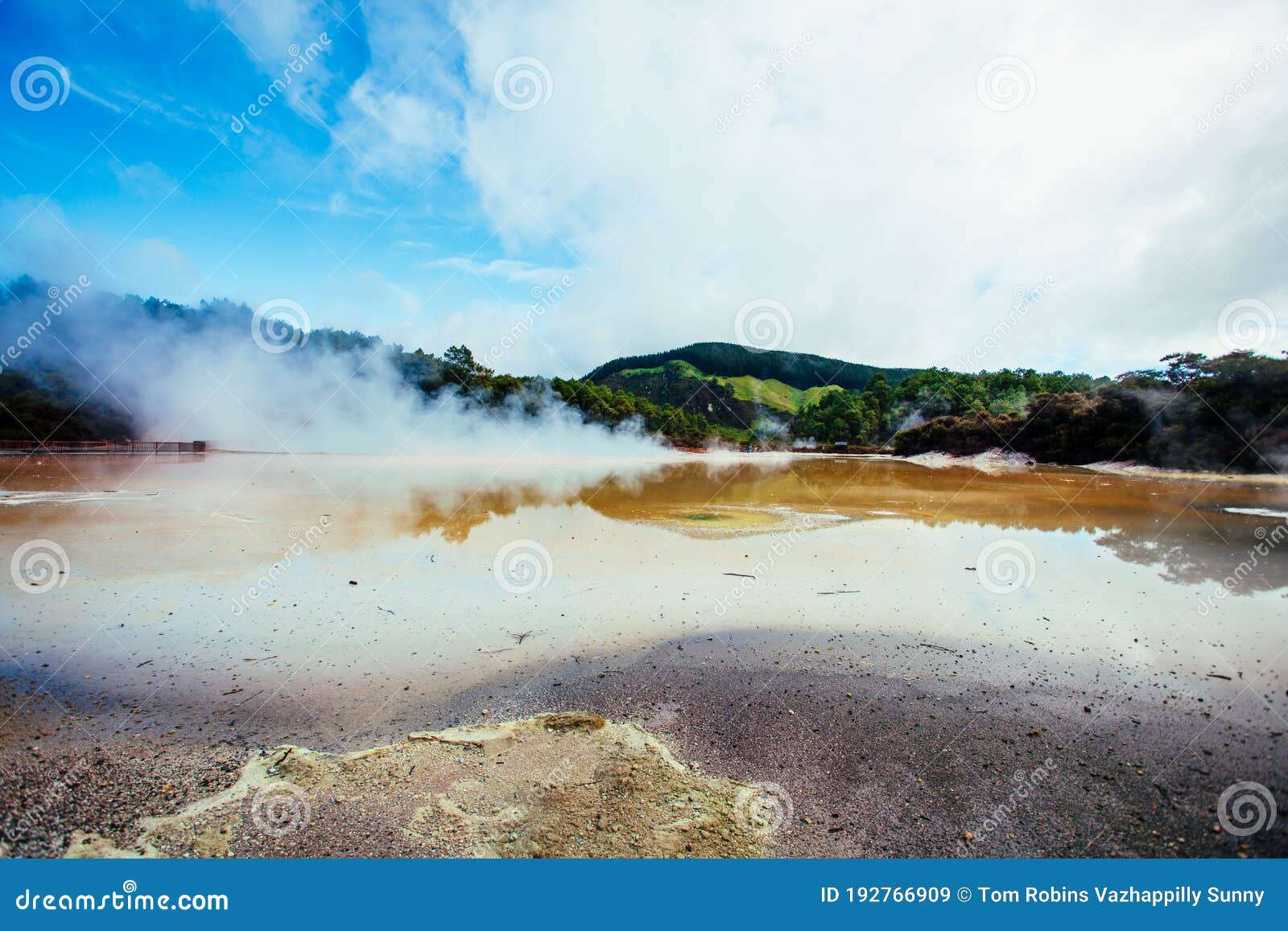 Geothermal Mud Pools Of Rotorua Nz Stock Image Image Of Remedial