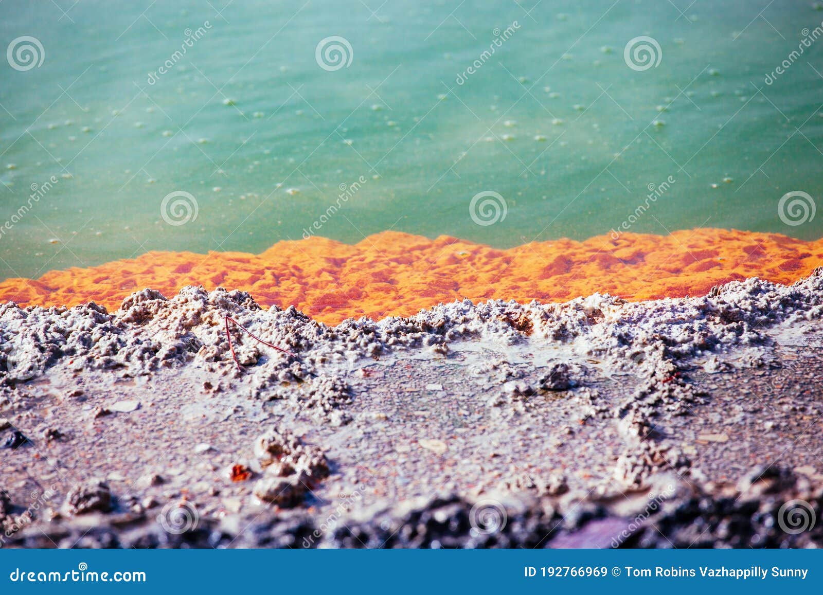 Geothermal Mud Pools Of Rotorua Nz Stock Image Image Of Lake