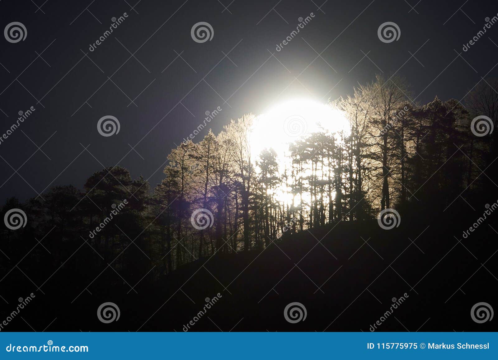 Geplakte volle maan. De heldere volle maan schijnt te zijn catched tussen bomen op een heuvel