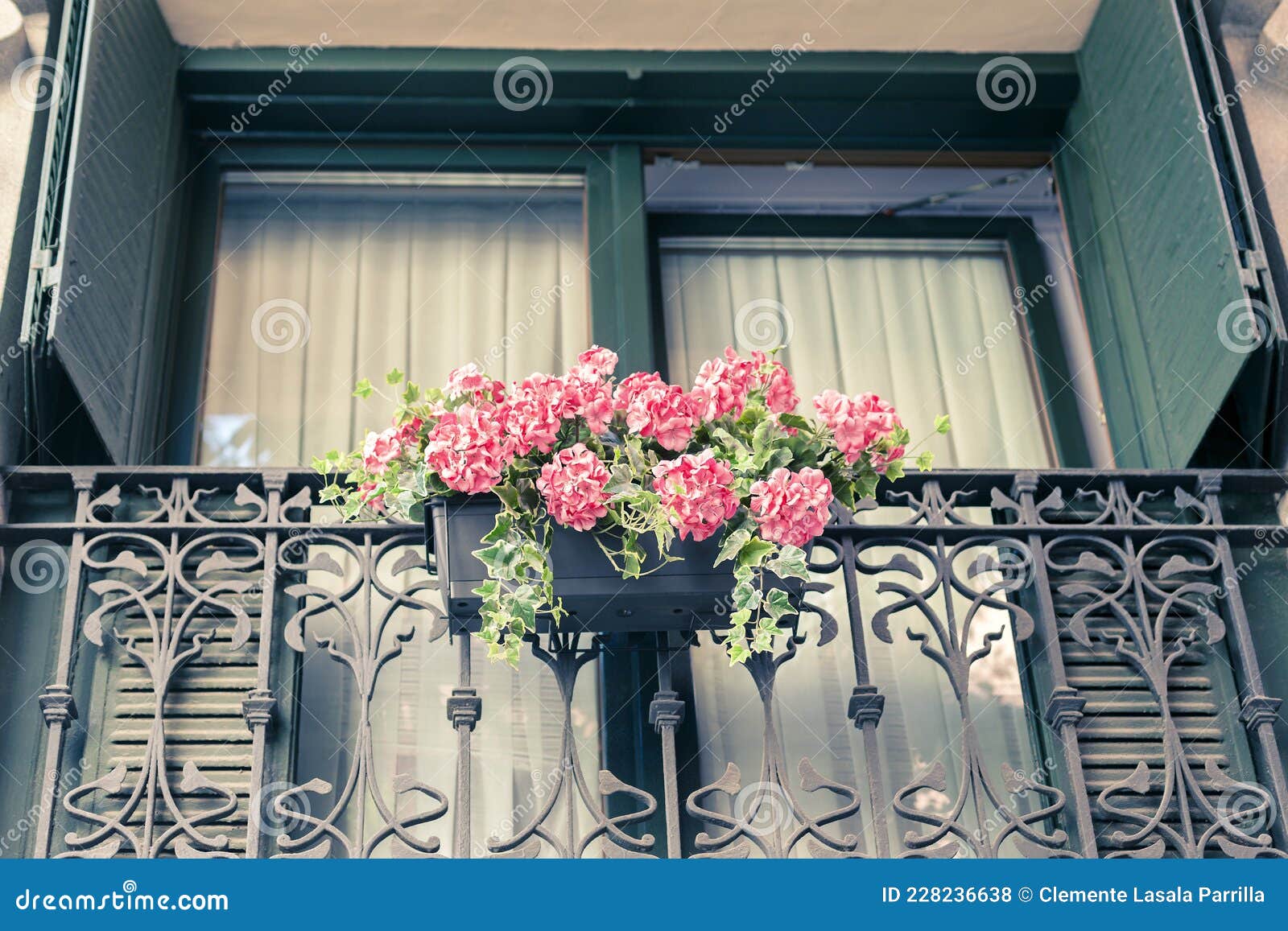 Gerânio Cor-de-rosa Pendurado Numa Varanda. Decoração Andaluza Foto de  Stock - Imagem de isolado, floral: 228236638