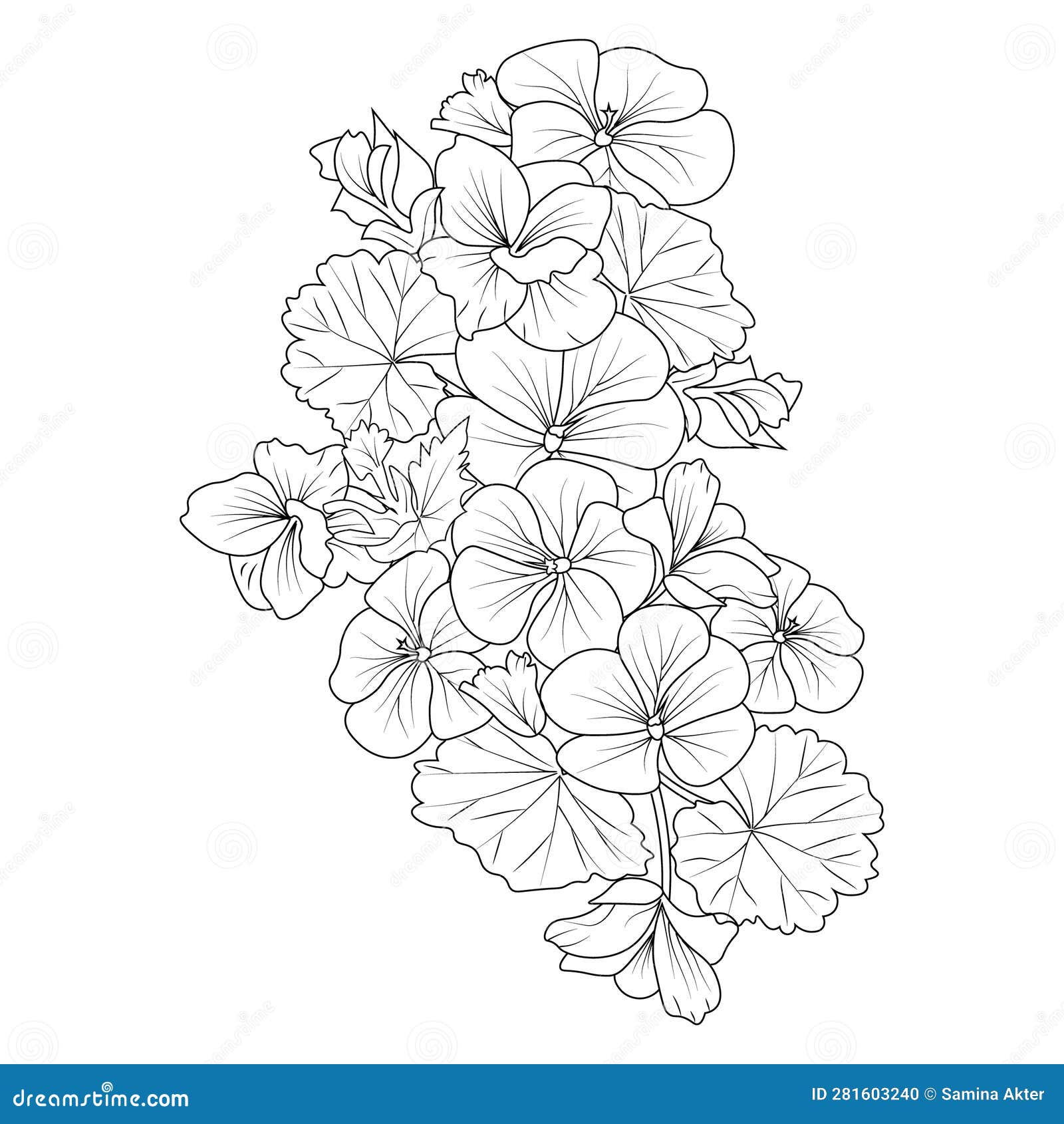 Geranium Flower Doodle Art Geranium Pelargonium Bouquet Drawings Tattoo  Geranium Flower Drawing Line Art Geranium Flower Stock Vector   Illustration of design doodle 281603240