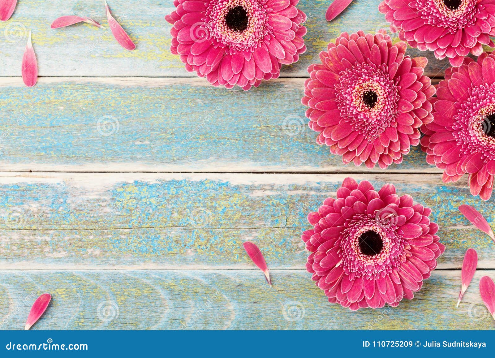 gerbera daisy flower greeting card background for mother or womans day. vintage style. top view.