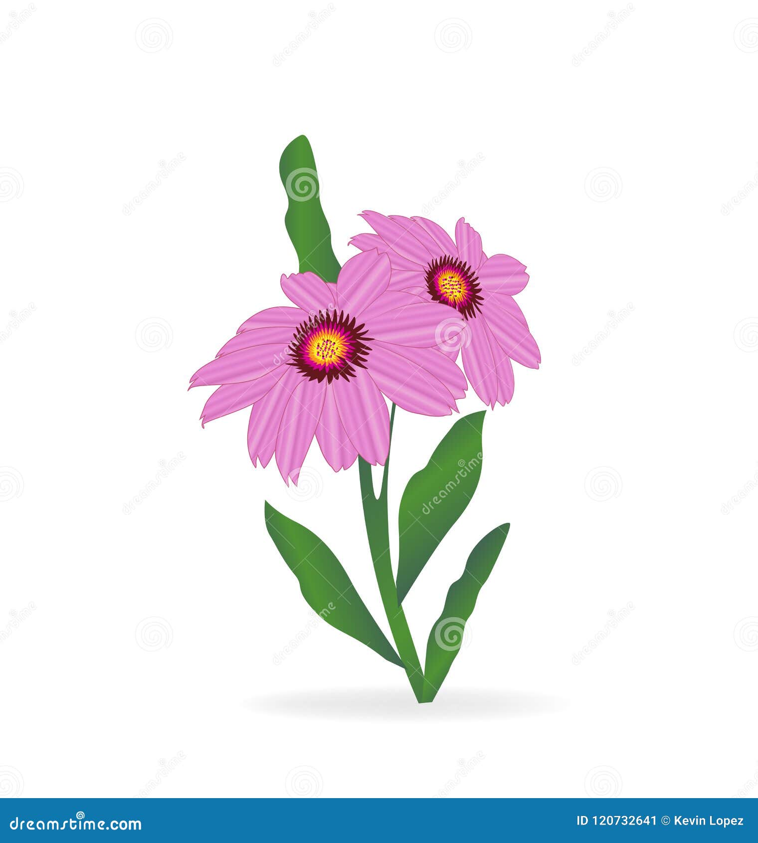Gerbera Daisy Flower Vector Stock Vector Illustration of icon, flower