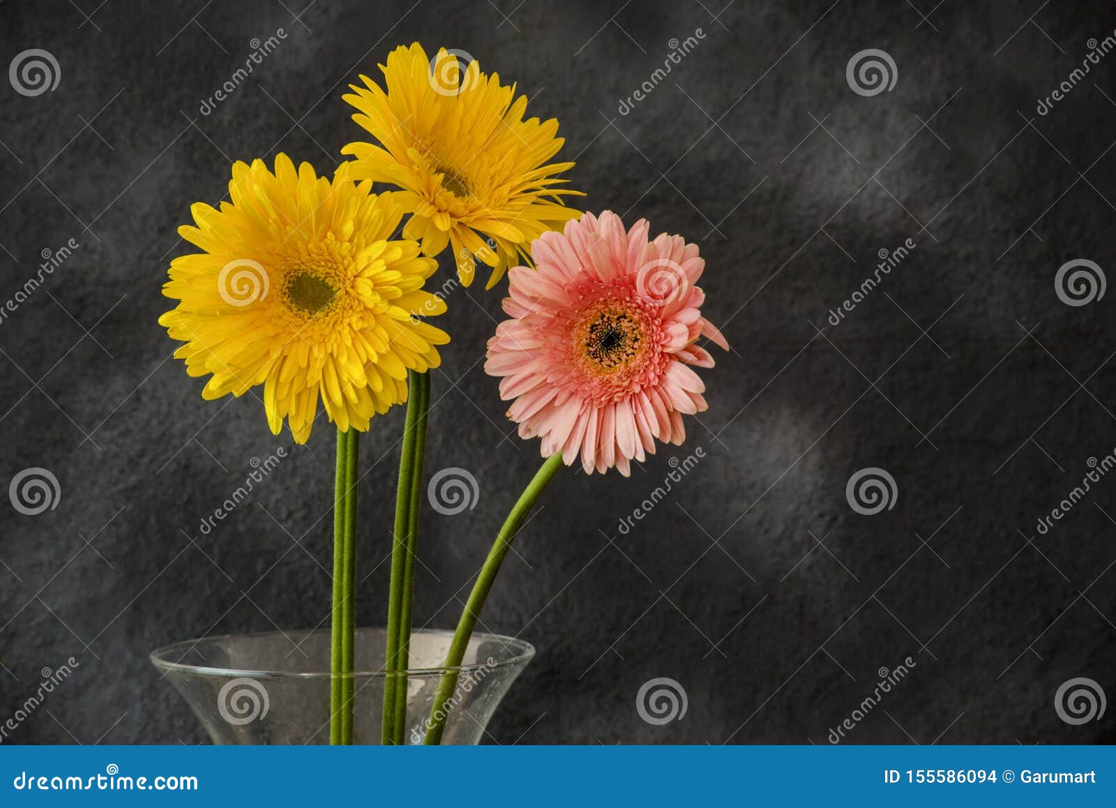 three gerbera flower on abstracta background