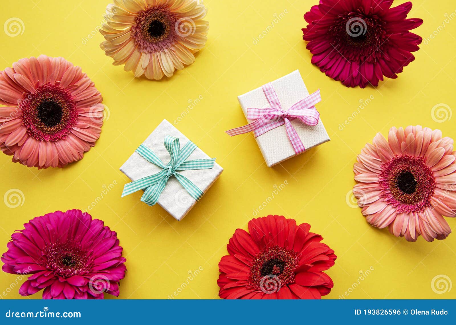 Gerbera Flowers and Gift Boxes on a Yellow Stock Photo Image of color