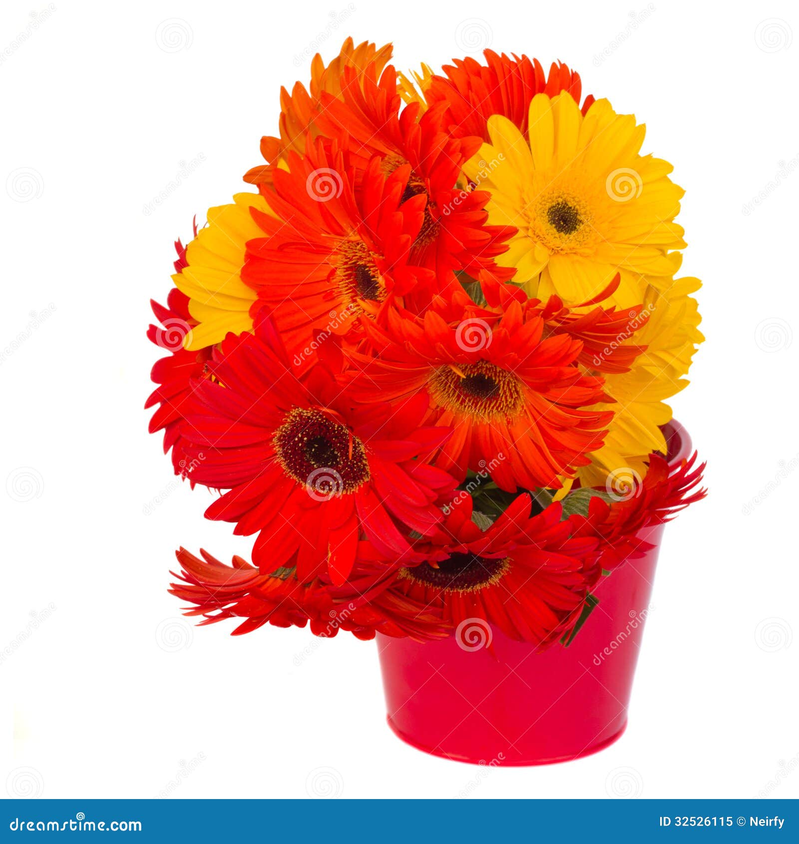 Gerbera flowers in pot stock image. Image of color, gerbera 32526115