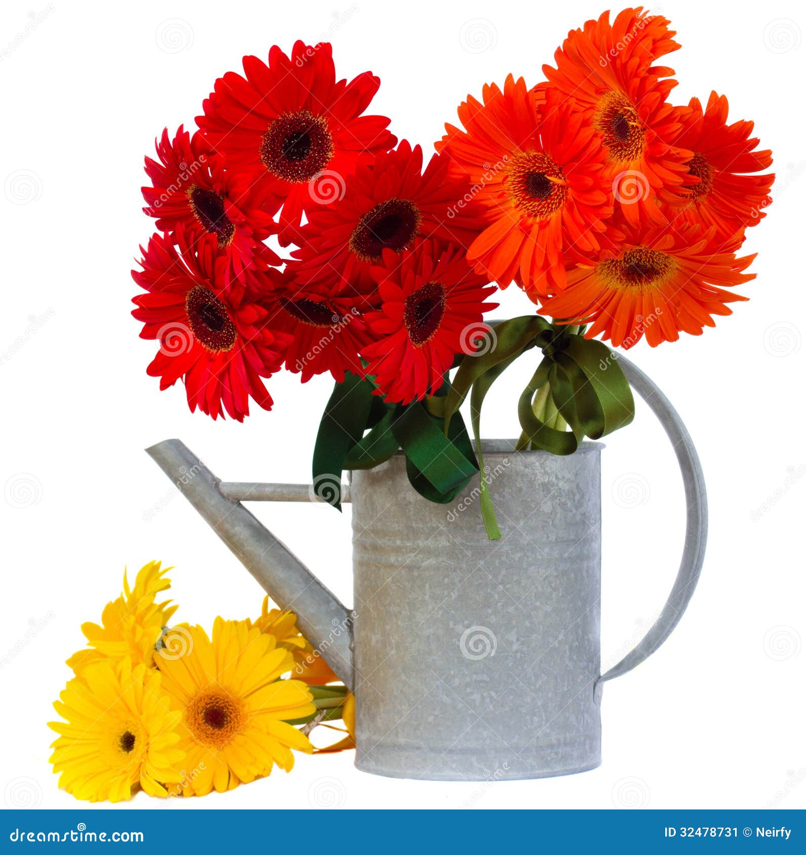 Gerbera Flowers in Watering Can Stock Image Image of color