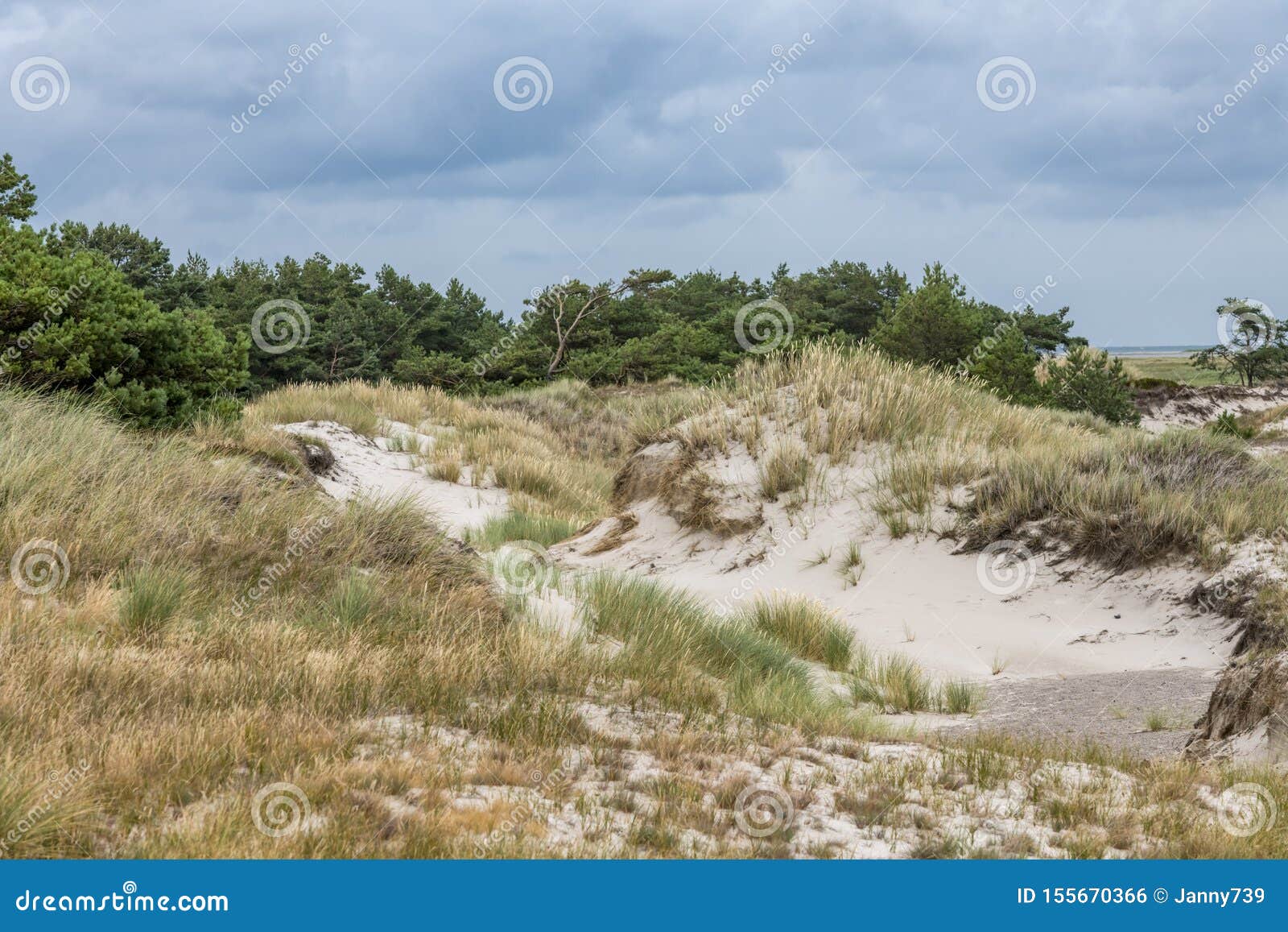 German Baltic Sea Coast With Sand Dunes Grass Water And Sky Stock