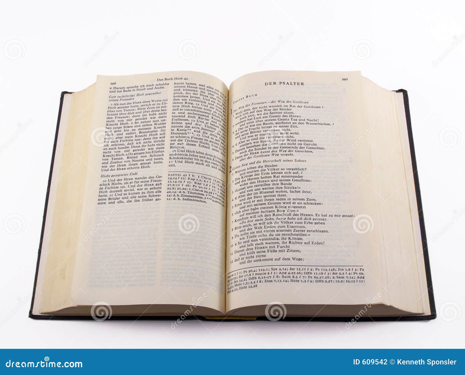 german bible - psalms