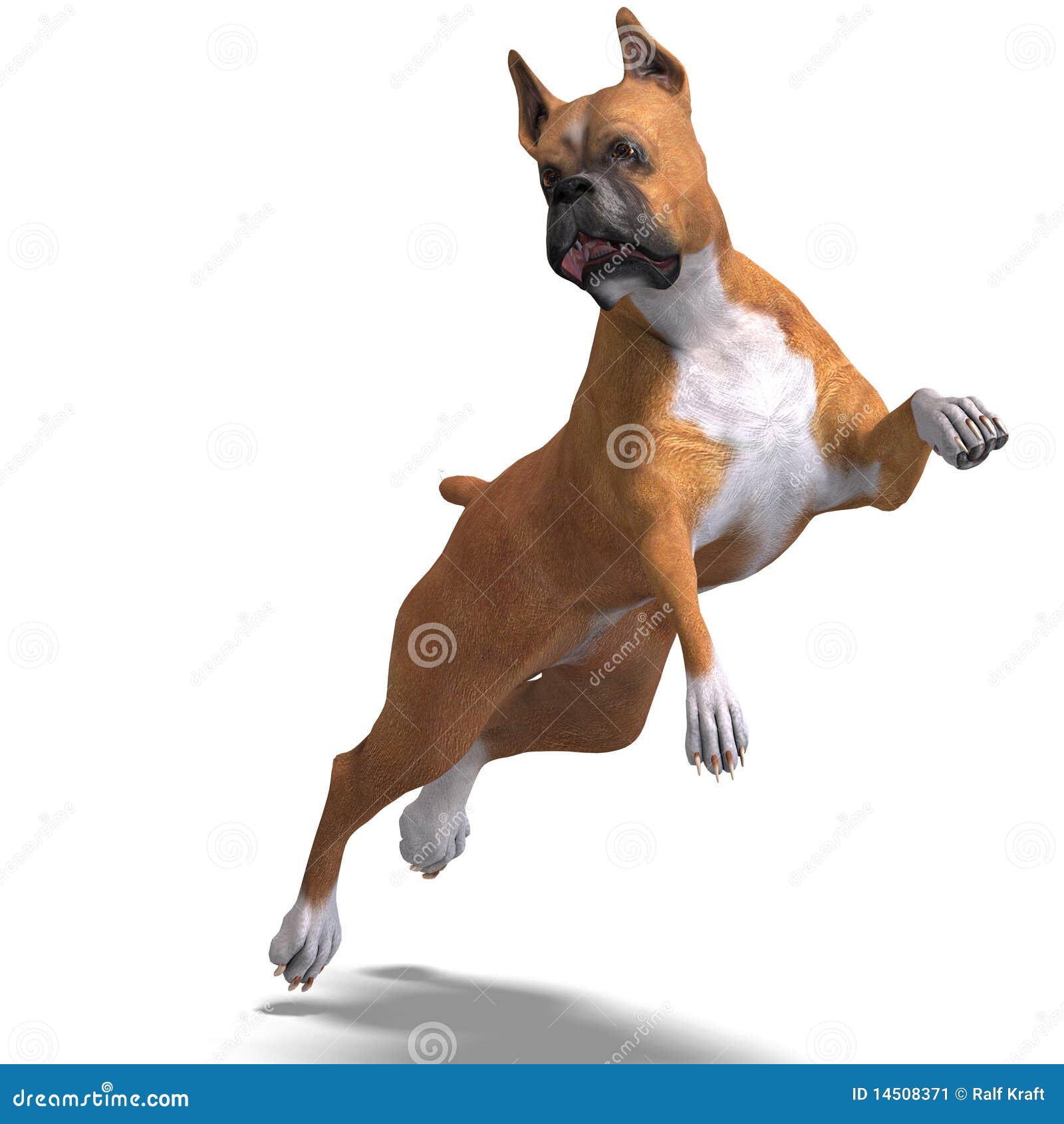 german boxer dog. 3d rendering with clipping path