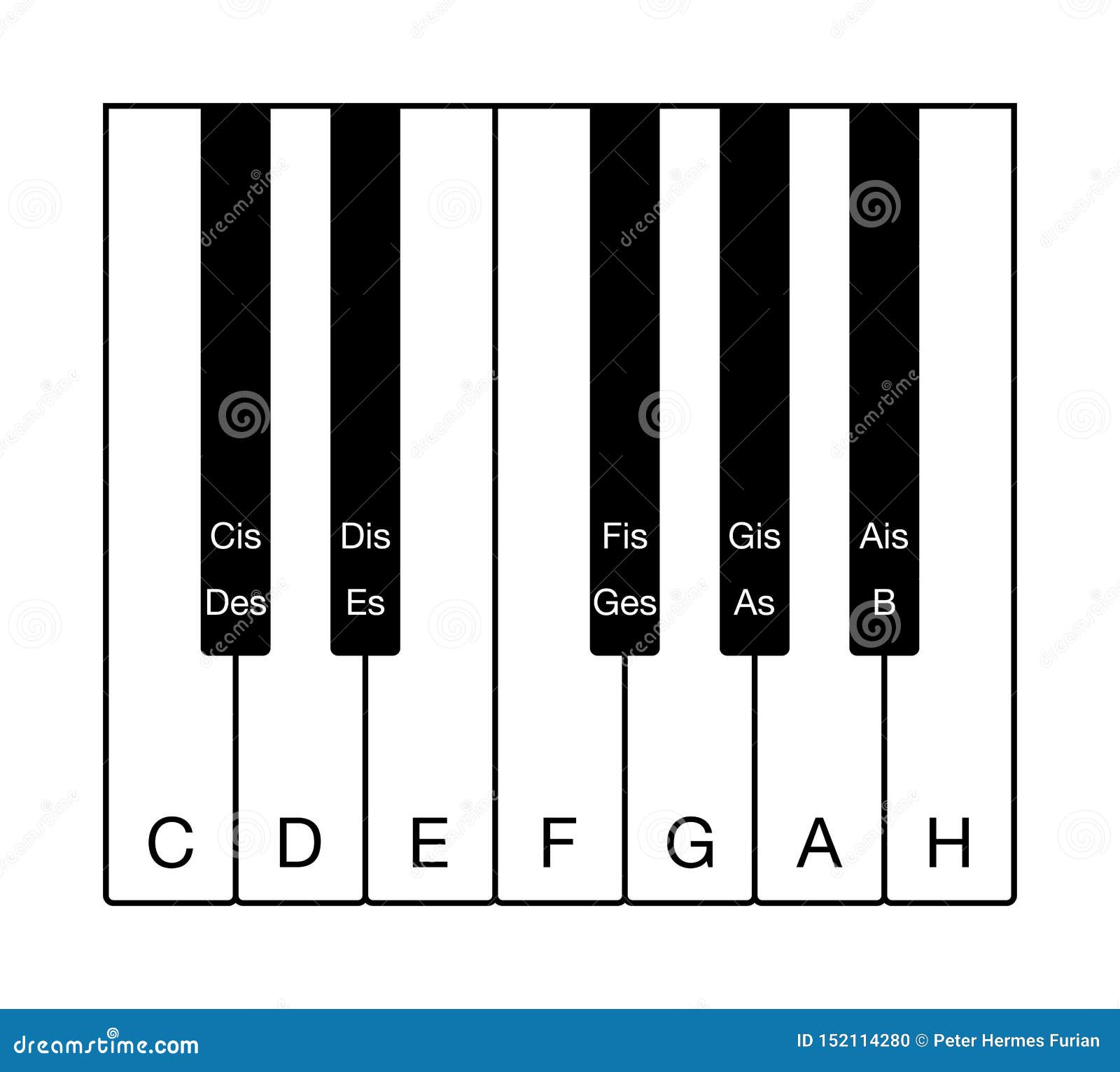 German Chromatic Scale on Musical Keyboard Stock Vector Illustration