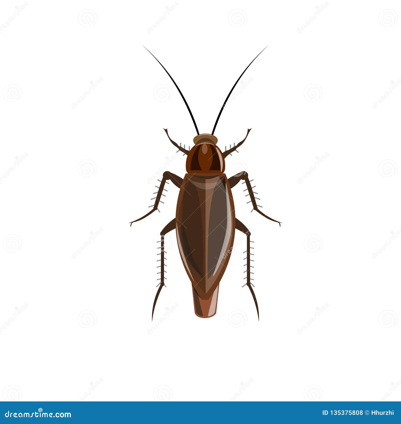 German cockroach vector stock vector. Illustration of cockroach - 135375808