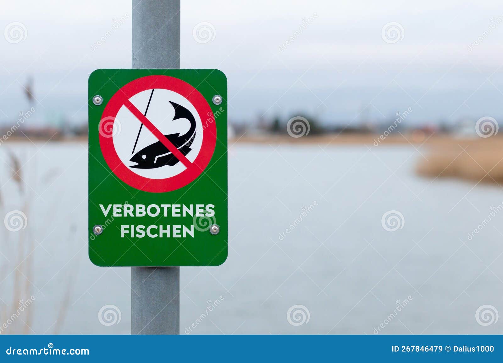 https://thumbs.dreamstime.com/z/german-fishing-prohibited-sign-near-lake-no-267846479.jpg