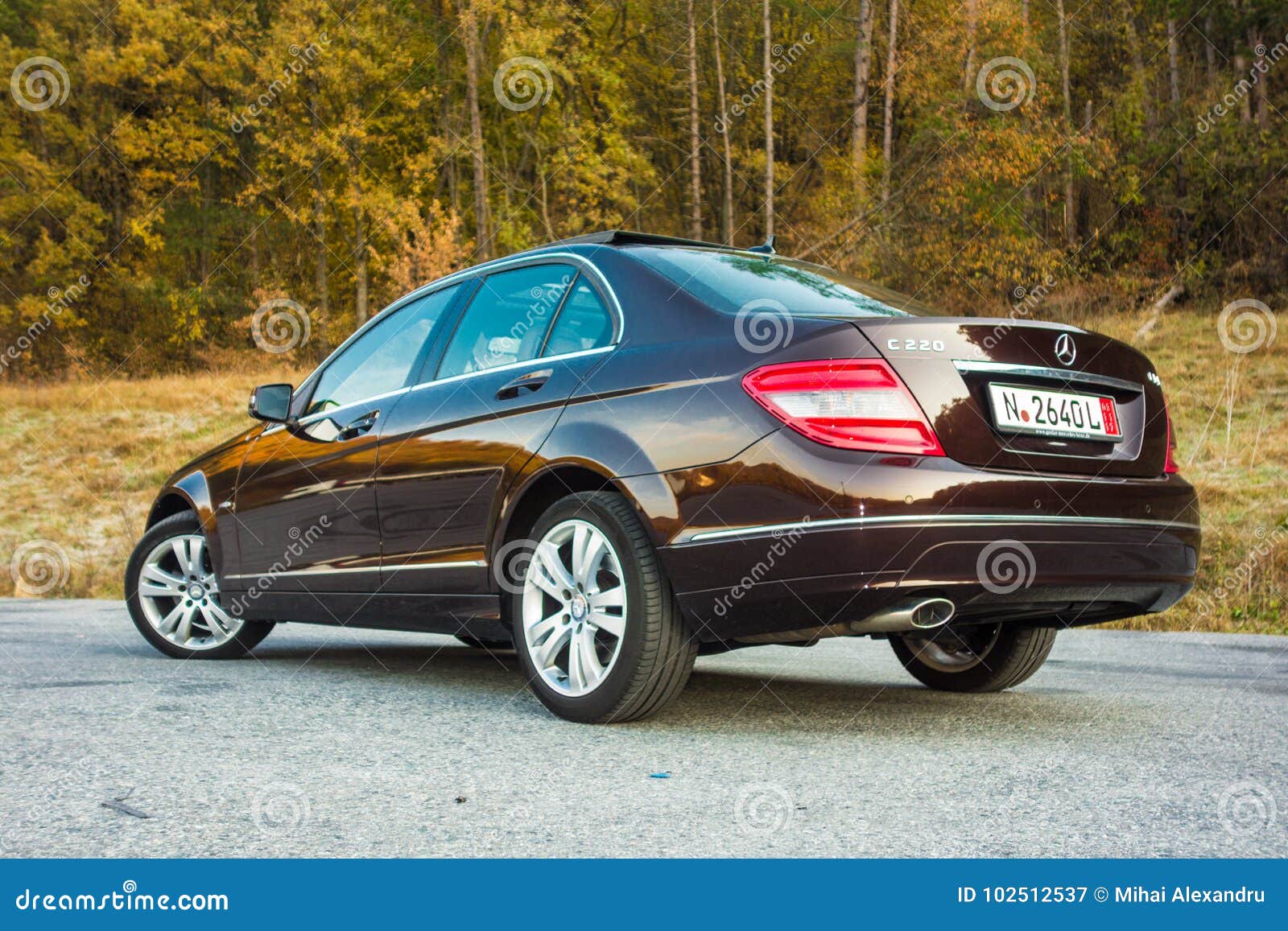 German Luxurious Sedan Car Xxl Sunroof Red Brown Leather